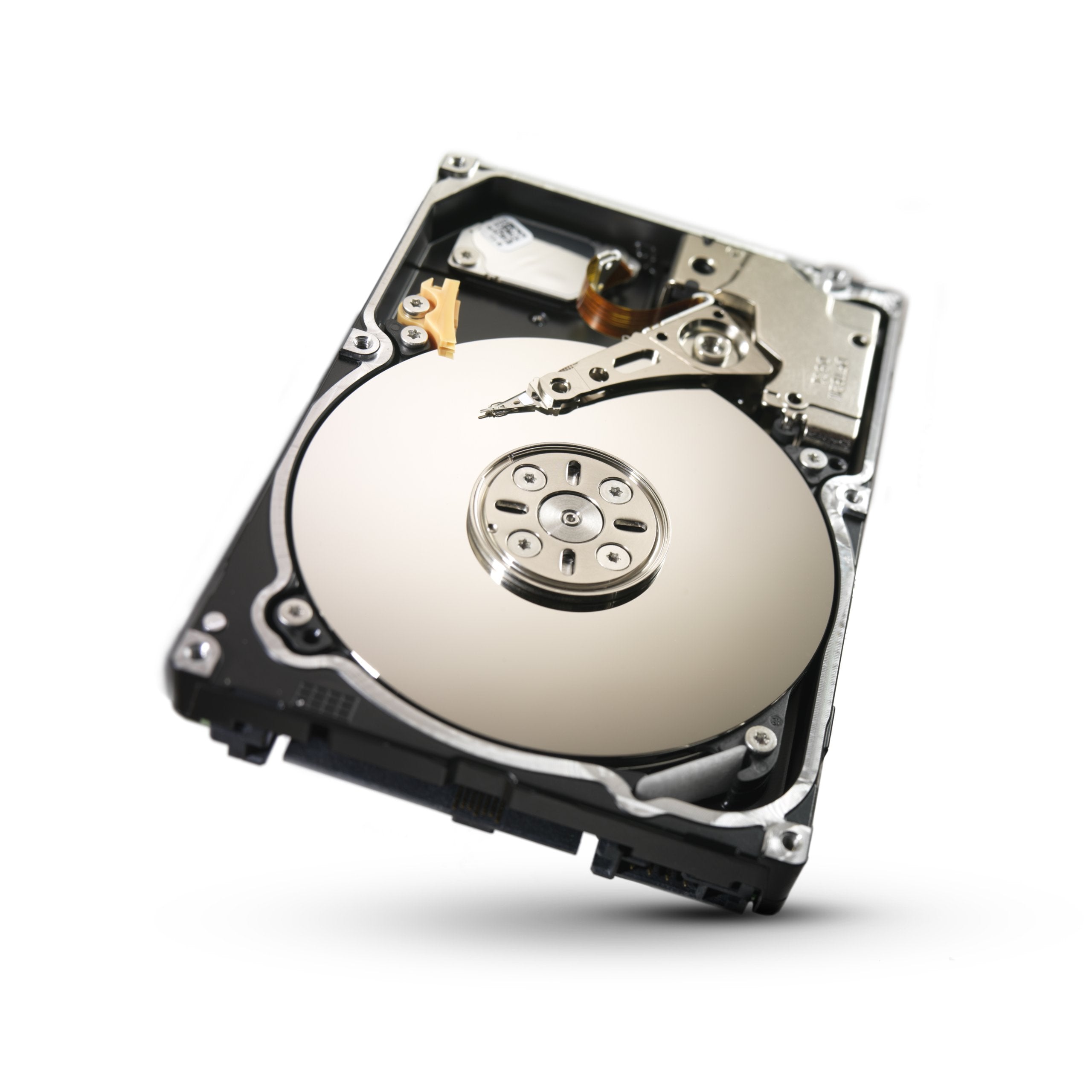 Seagate 1TB Constellation SATA 6Gb/s 64MB Cache 2.5 Inch Internal Bare Drive (ST91000640NS)
