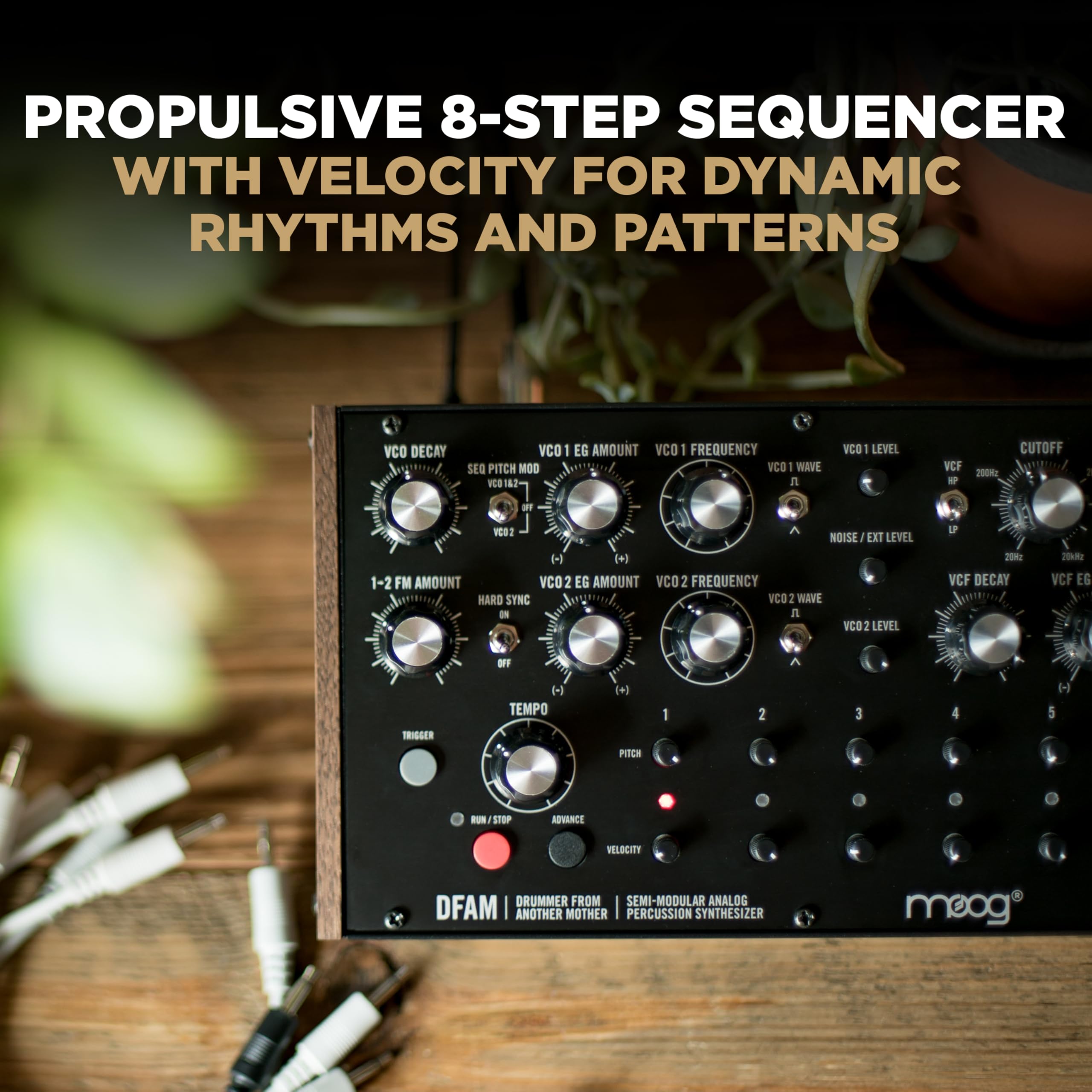 Moog Dfam Semi Modular Analog Percussion Synthesizer With 8 Step Sequencer, 24 Point Patch Bay