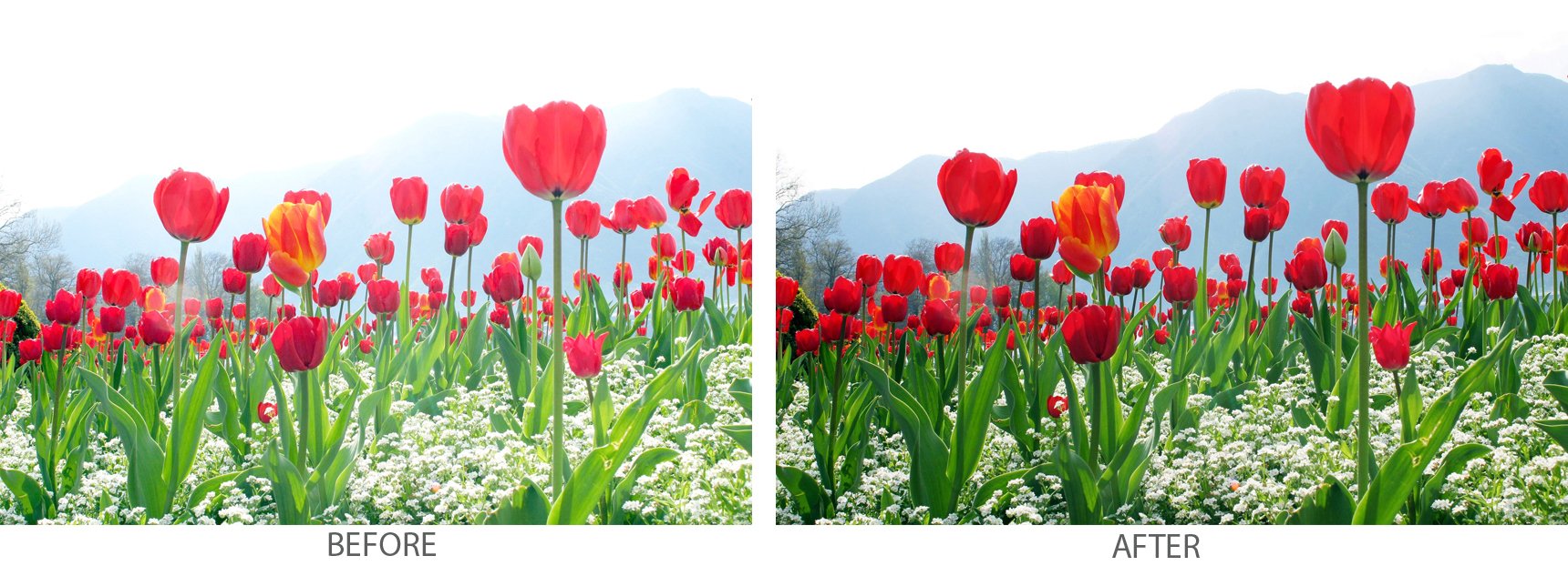 Xit Xt43Uv 43Mm Camera Lens Sky And Uv Filters