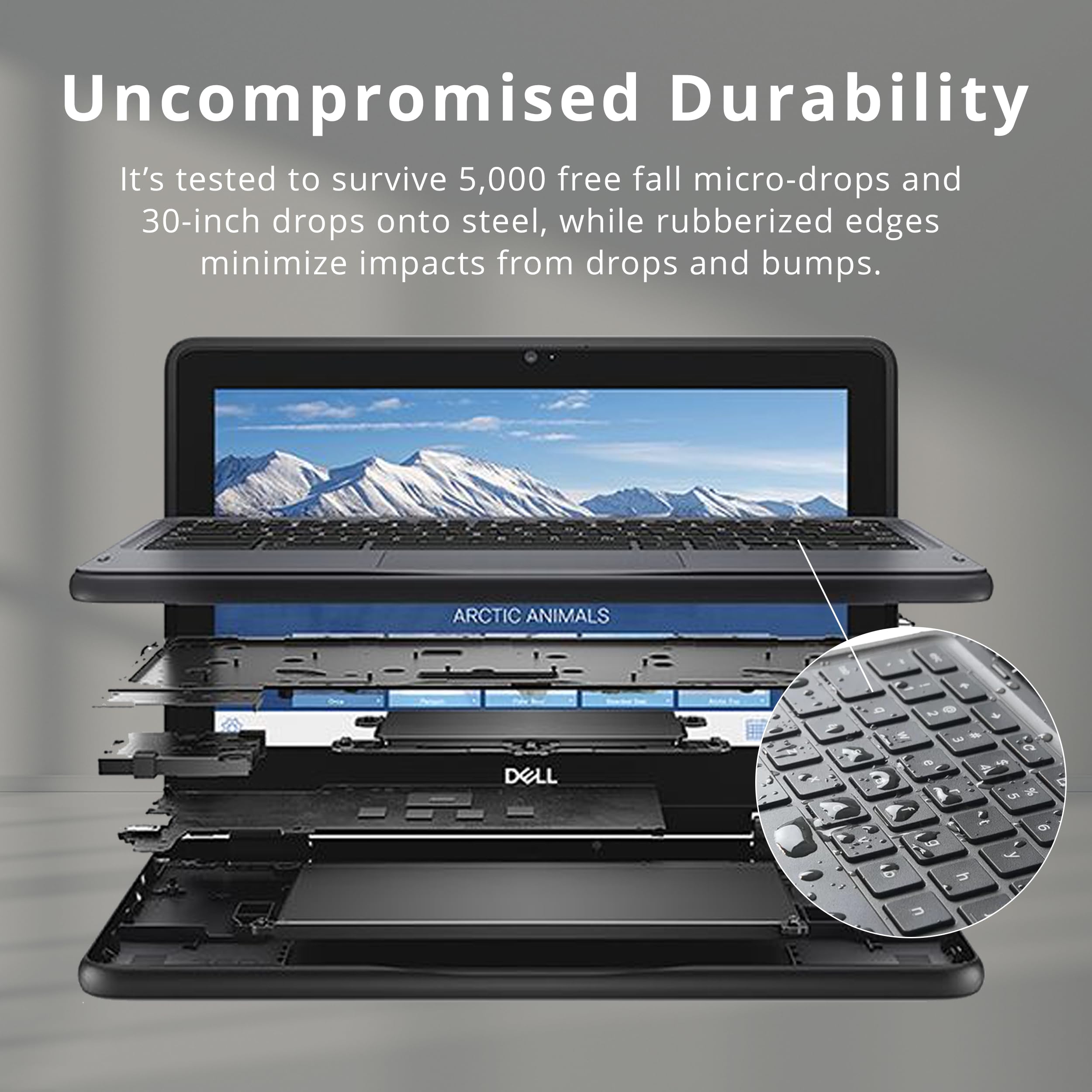 Dell Chromebook 11 3000 3100 11.6 Chromebook - Hd - 1366 X 768 - Intel Celeron N4020 Dual-Core (2 Core) - 4 Gb Ram - 16 Gb Flash