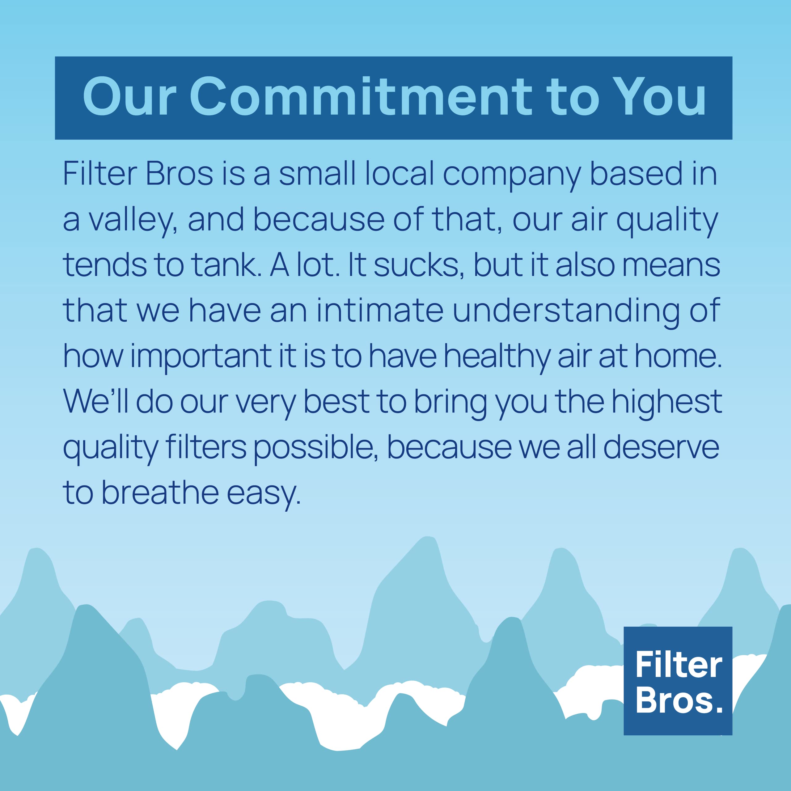 Filter Bros Carbon Filter B 4Pack Replacement Fits Germguardian Ac4825 Ac4900Ca