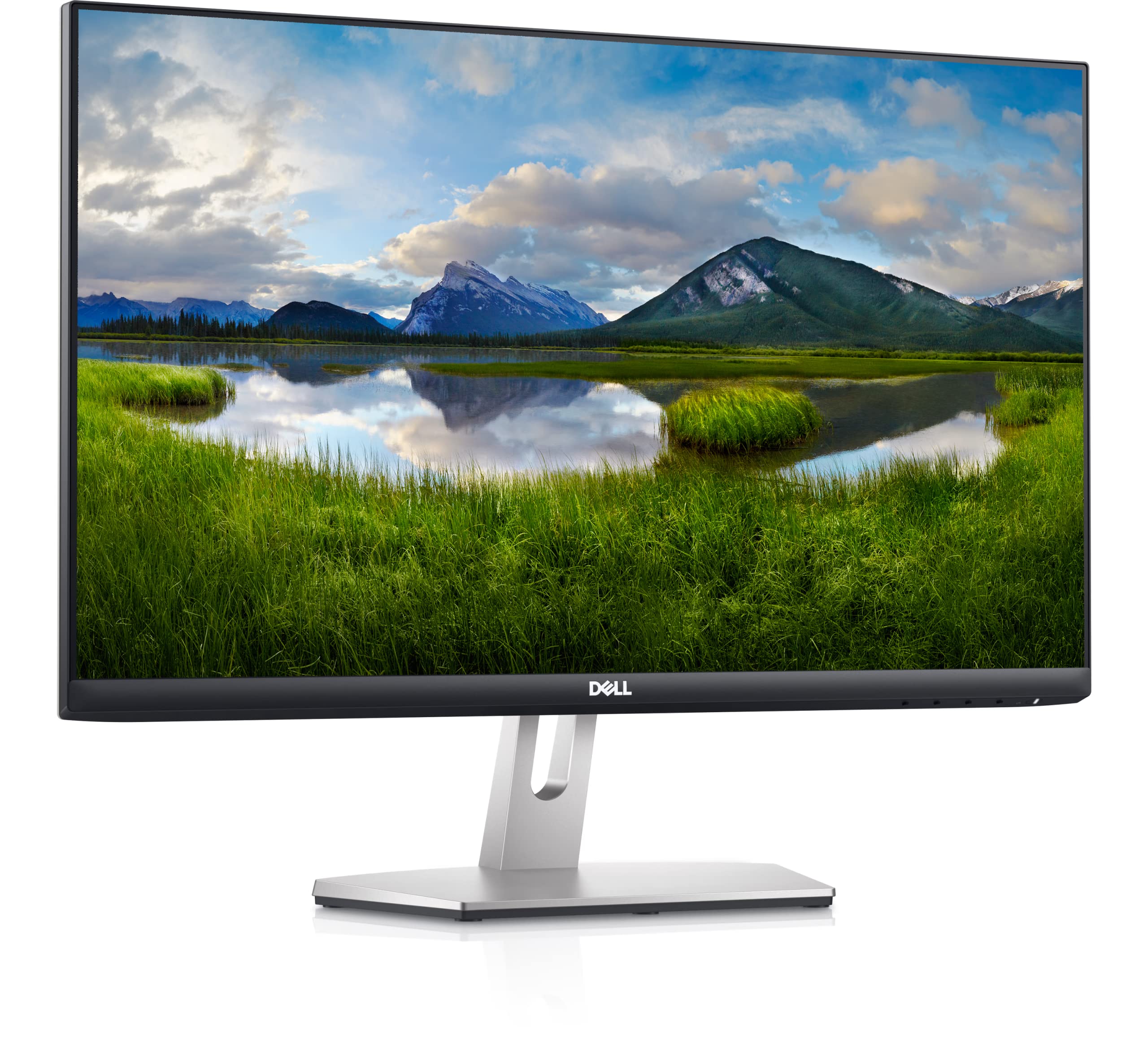 Dell S2421HN 24 Inch Full HD 1080p (1920 x 1080) 75Hz IPS Ultra Thin Bezel Monitor 2 x HDMI Ports, Audio Line Out, Adaptive AMD FreeSync, Silver