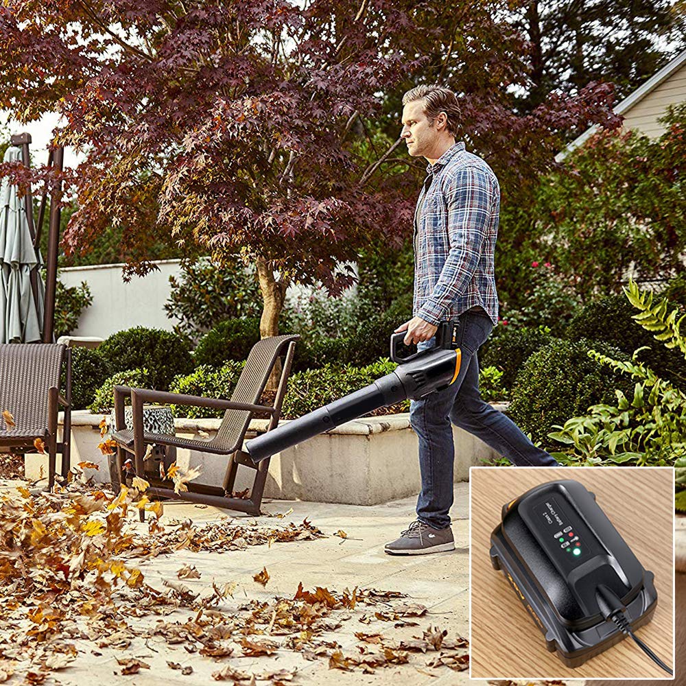 Lasica Replacement For Worx Battery Charger 20V Wa3742 Compatible With Worx 20V Lithium Battery Wa3520 Wa3525 Wa3578 Wa3575 Wa35