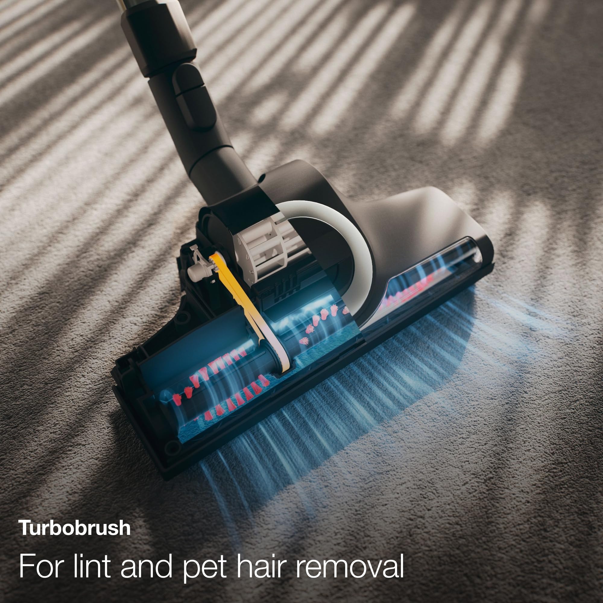 Miele Classic C1 Turbo Team Bagged Canister Vacuum, Tech Blue   Portable, Household