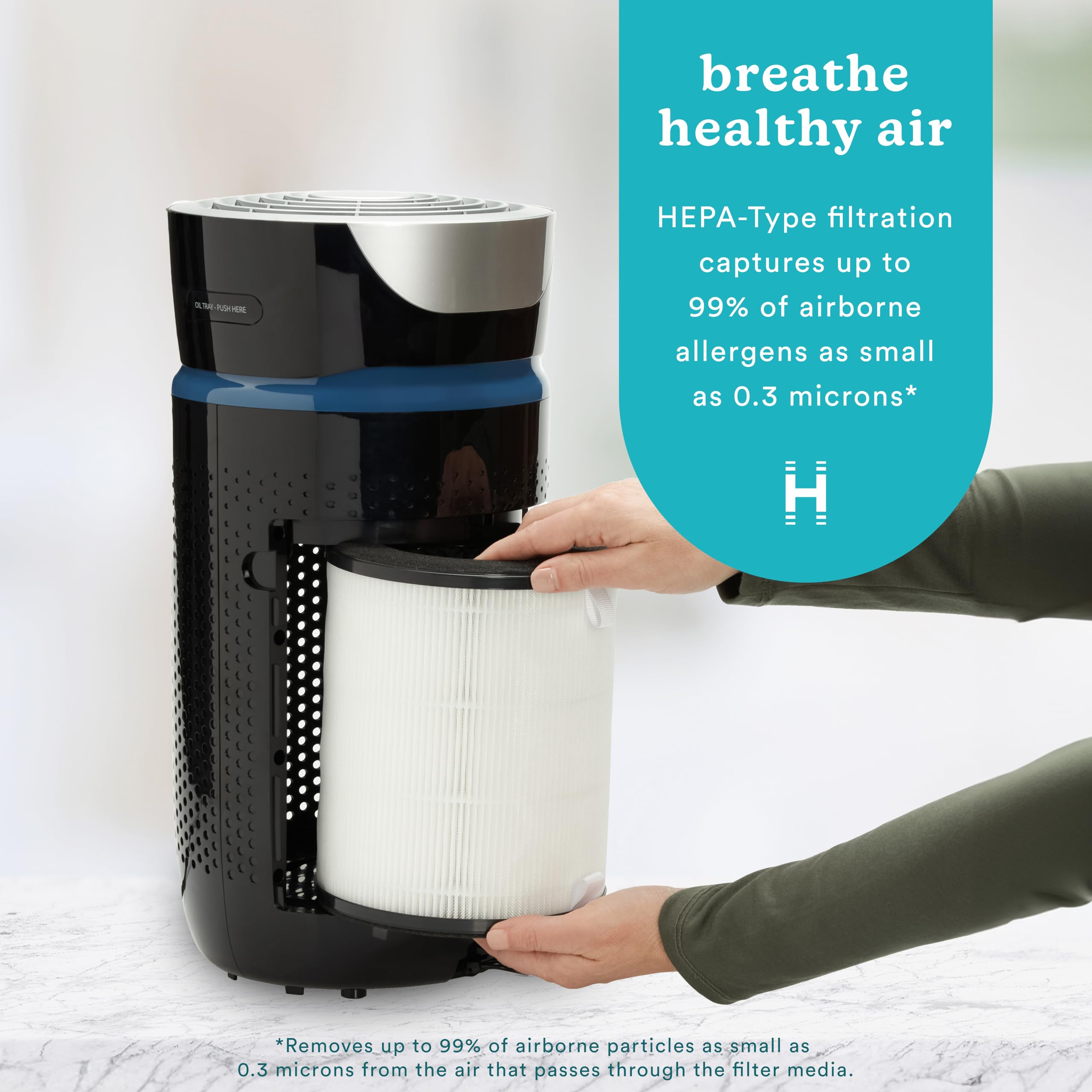 Homedics Totalclean 3-In-1 Hepa-Type Air Purifier Filter Replacement, Works With Homedics Ap-T20, Ap-T20Wt And Ap-T22 Air Purifi