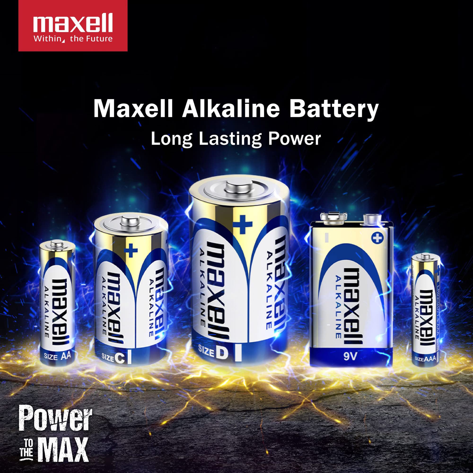 Maxell 48 Aa General Purpose Alkaline Batteries