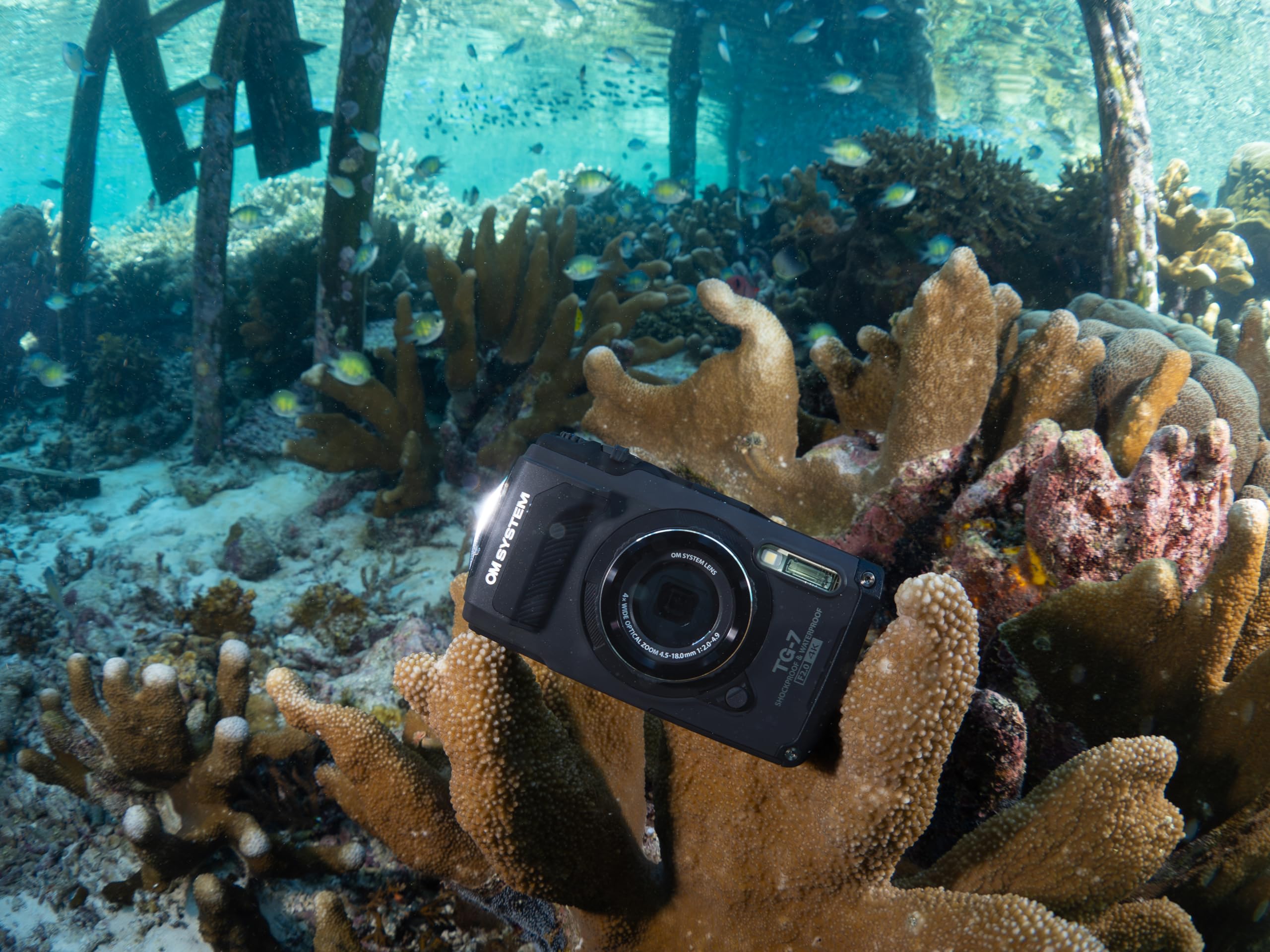 Om System Tough Tg 7 Black Underwater Camera, Waterproof, Freeze Proof, High Resolution Bright, 4K Video 44X Macro Shooting (Suc