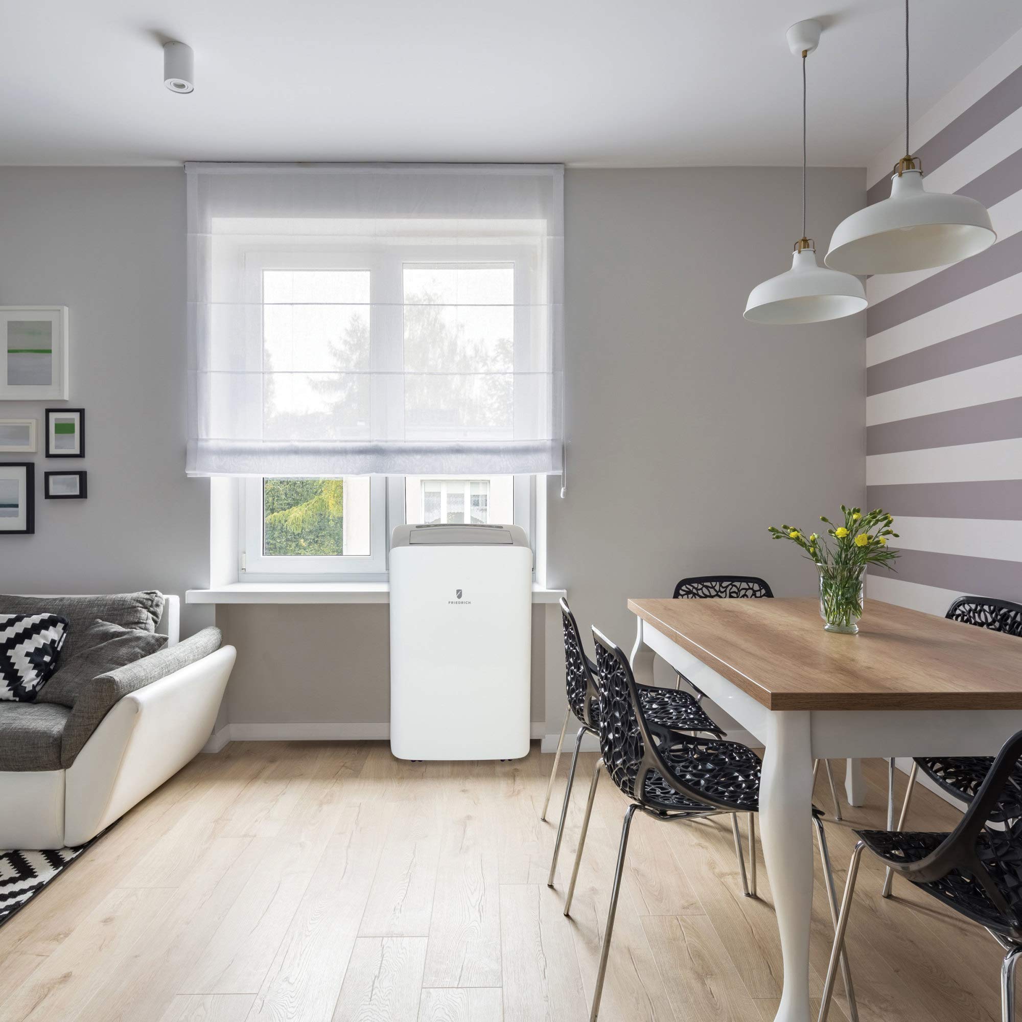 Friedrich Zoneaire Compact 10,000 Btu Ashrae (6,000 Btu Sacc) 10.2 Eer 115 V White Single Hose Portable Air Conditioner