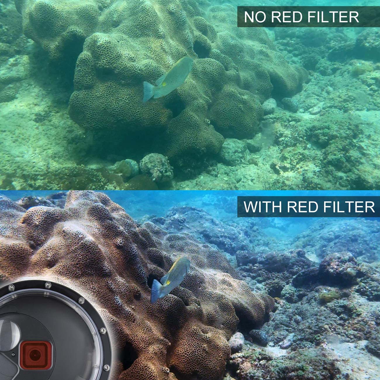 Soonsun Dome Port For Gopro Hero 12 / Hero 11 / Hero 10 / Hero 9 Black, Built-In Red 10X Magnification Close-Up Filter Underwate