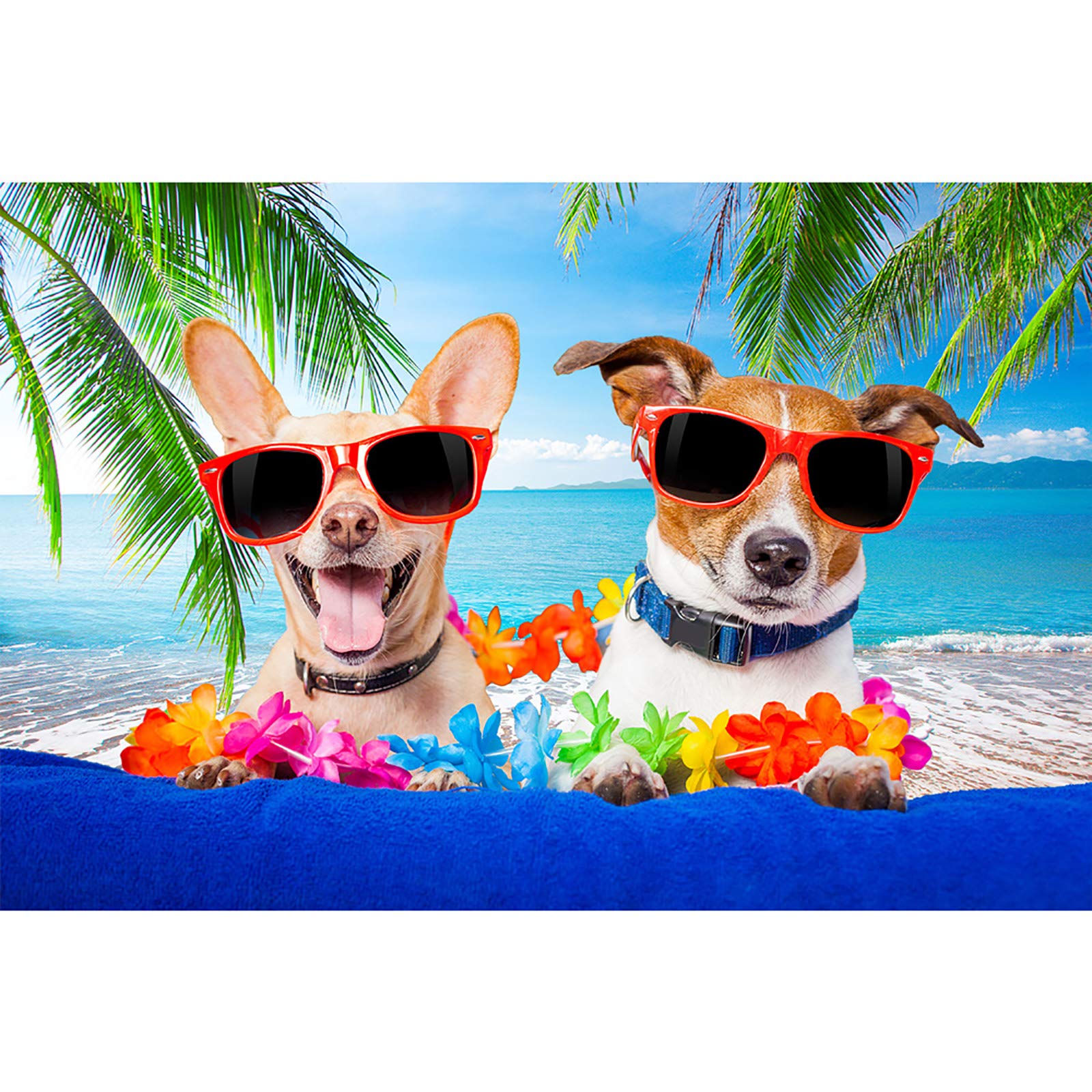 Allenjoy 7X5Ft Tropical Beach Background Summer Luau Palm Leaves Ocean Island Seaside Scene Wedding Photography Backdrop Baby Bi