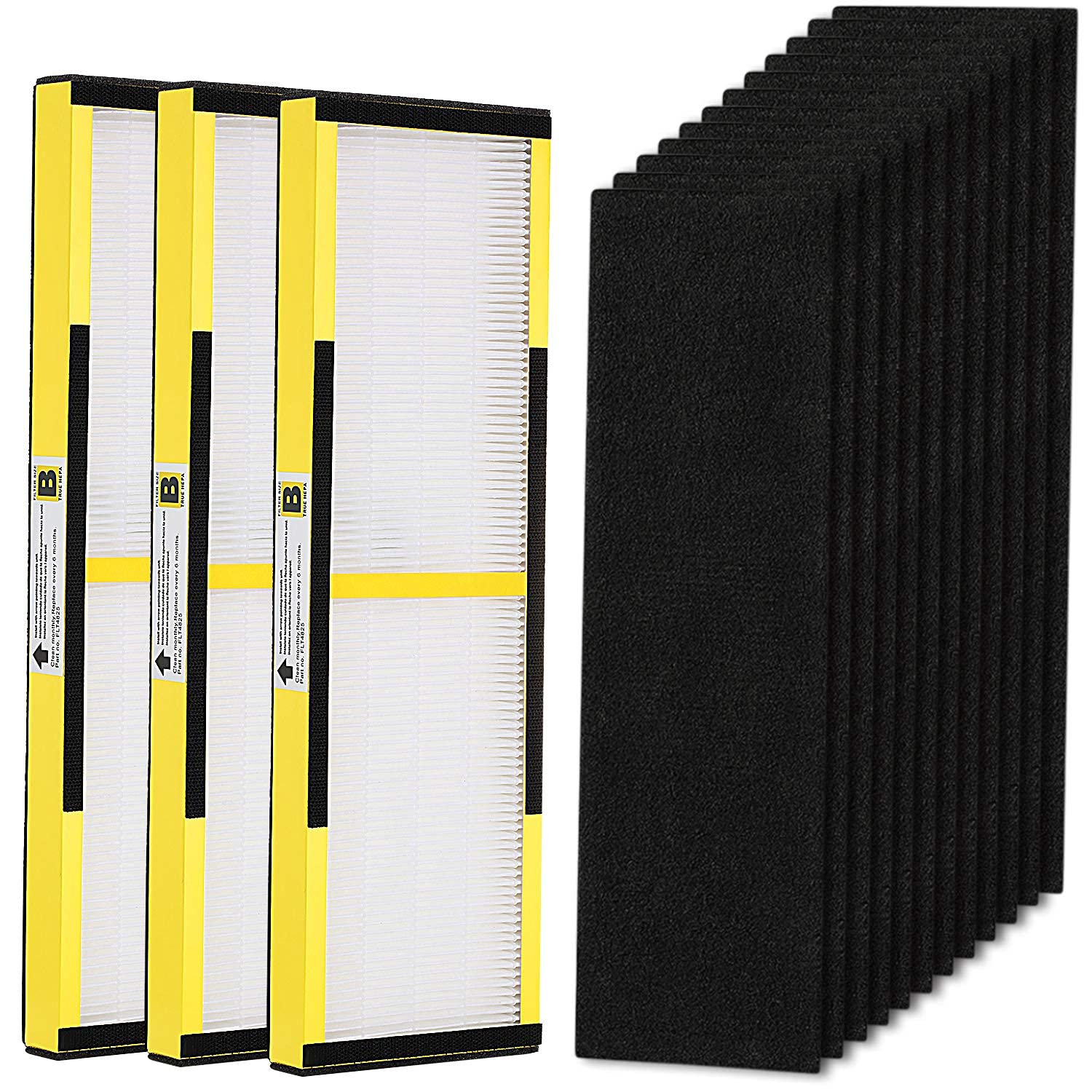 Isinlive Flt4825 True Hepa Filter B Replacement For Guardian Air Purifier Ac4825 Ac4300 Ac4800 Ac4900 Ac4850, 3 Pack Hepa And 12