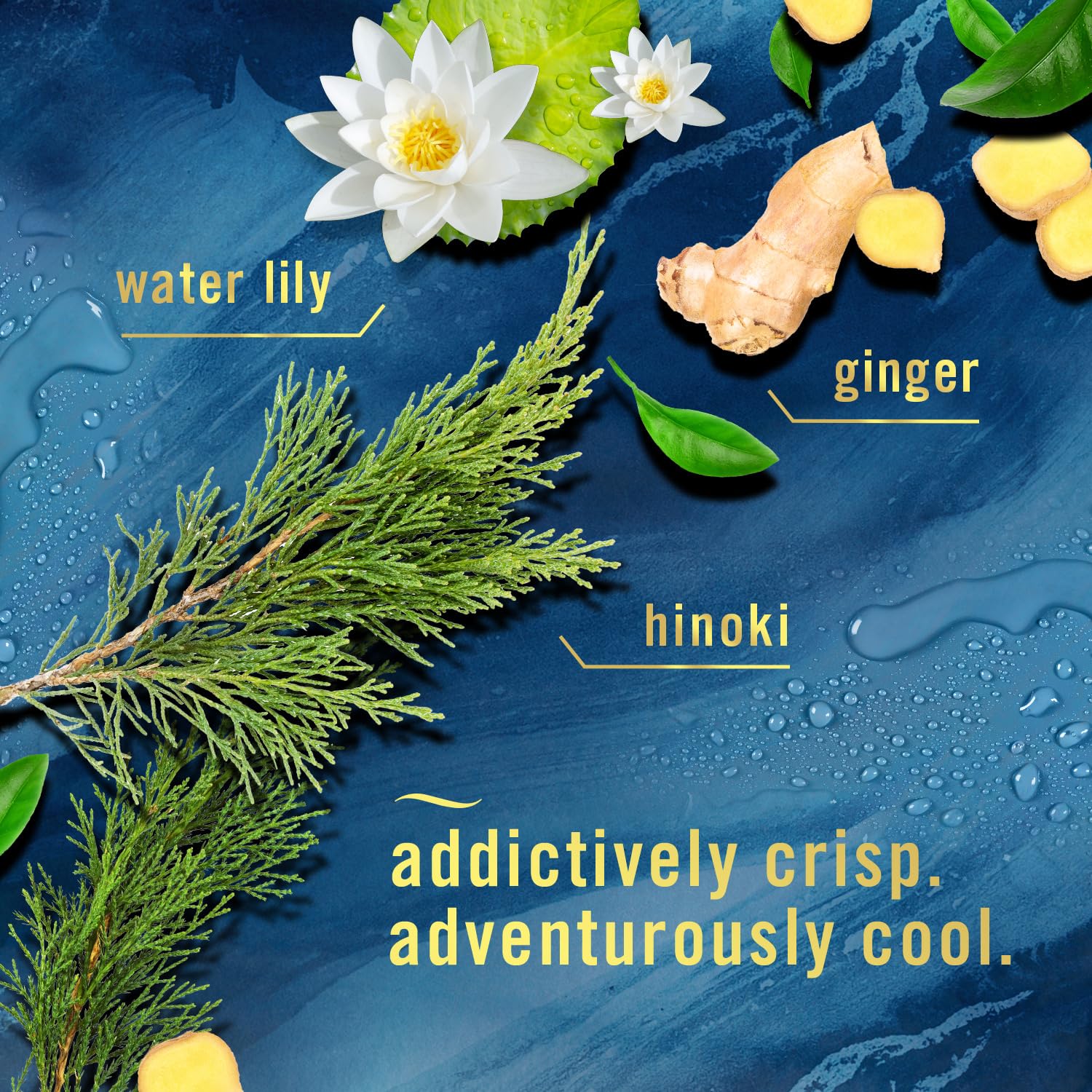 Febreze Origins Fade Defy Plug Air Freshener & Odor Fighter, Ocean, (3) .87 Fl. Oz. Oil Refills