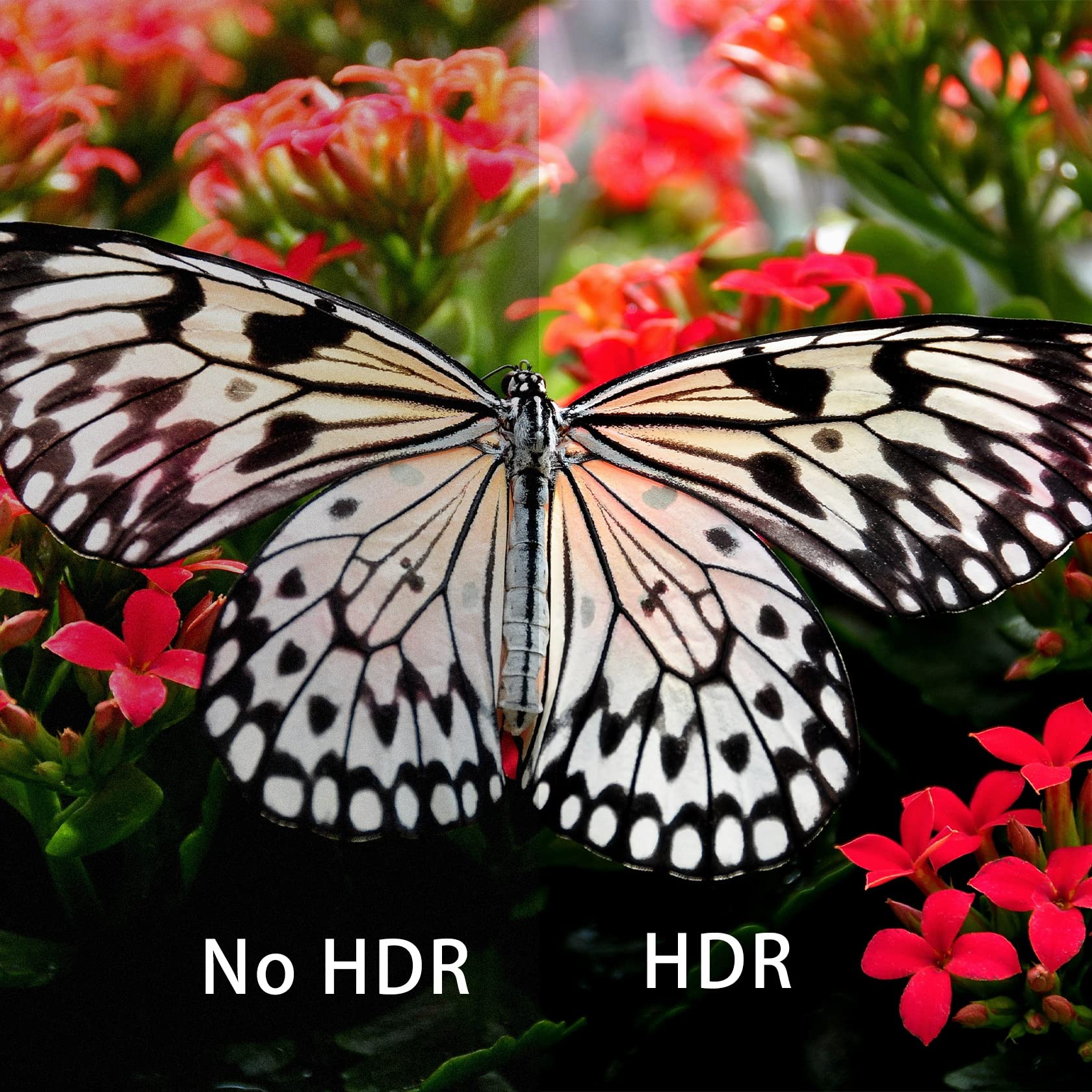 Kago Hdmi Switch 7 In 1 Out 4K@60Hz,7 Ports Hdmi Splitter With Remote,Hdmi Selector Switcher Box Hub Hdr Hdcp 3D, Aluminum Premi