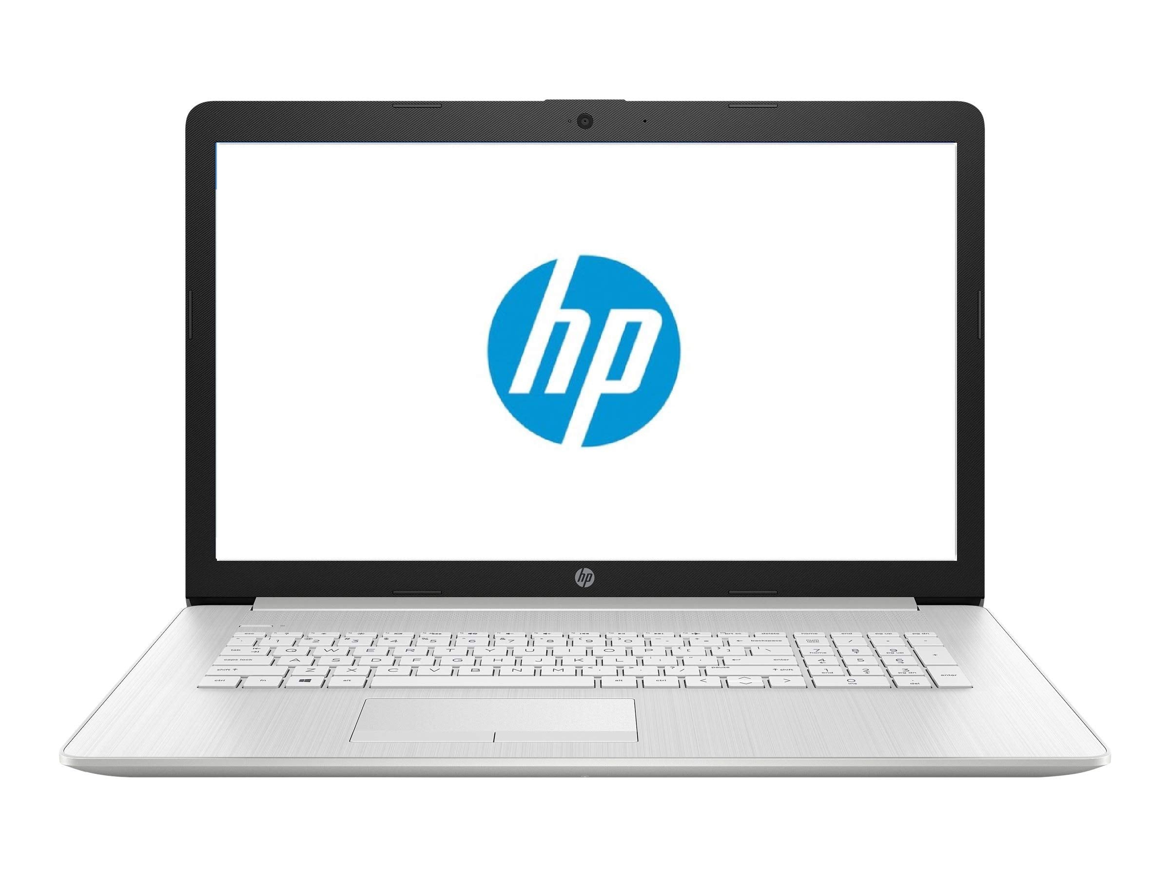 HP 17 Business Laptop - Linux Mint Cinnamon - Intel Quad-Core i5-10210U, 32GB RAM, 1TB PCIe NVMe SSD + 1TB Storage HDD, 17.3 Inc