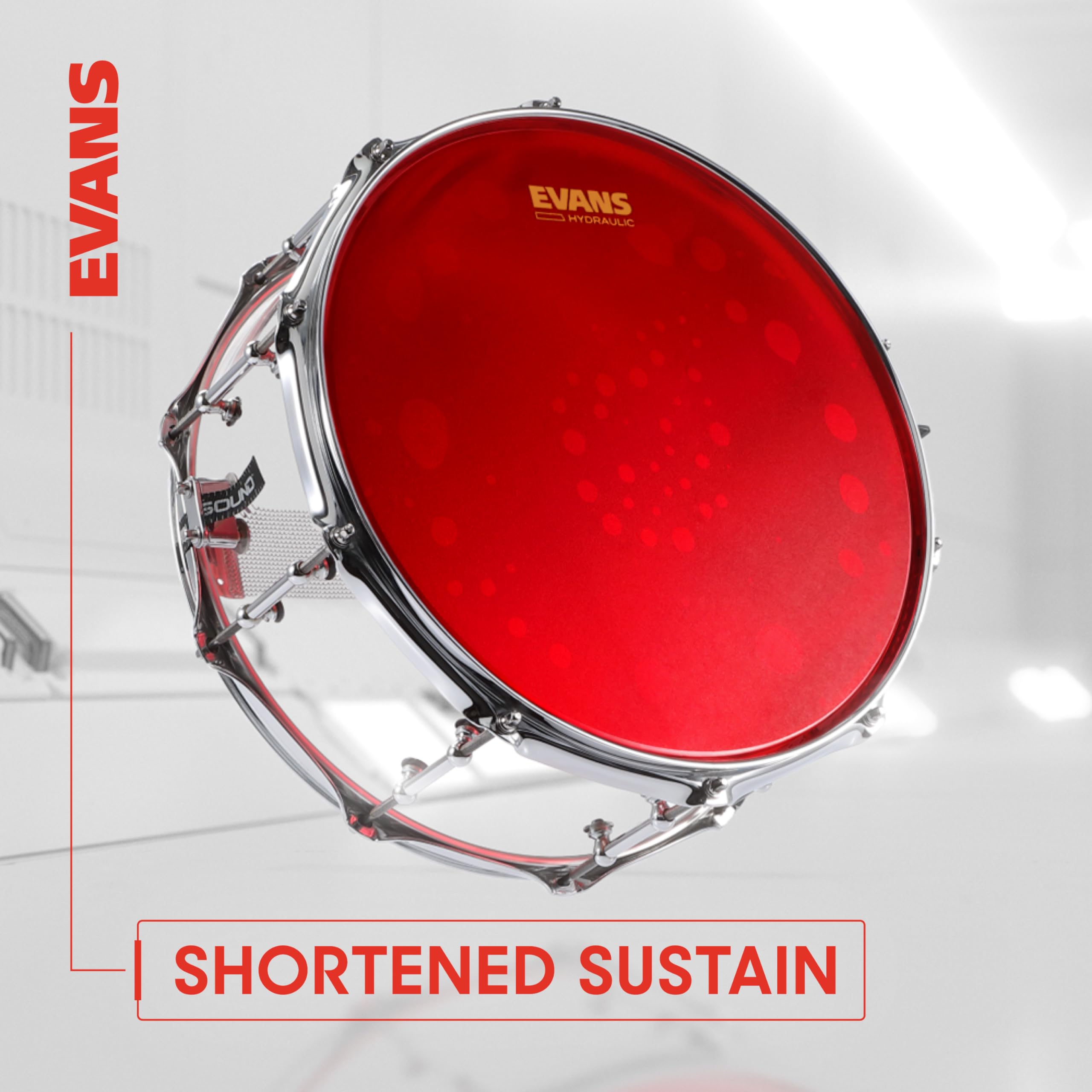 Evans Hydraulic Drum Heads   Tt14Hb   Drum Head With Layer Of Oil   Supresses Unwanted Overtones   Ideal For Rock, Metal, & Funk
