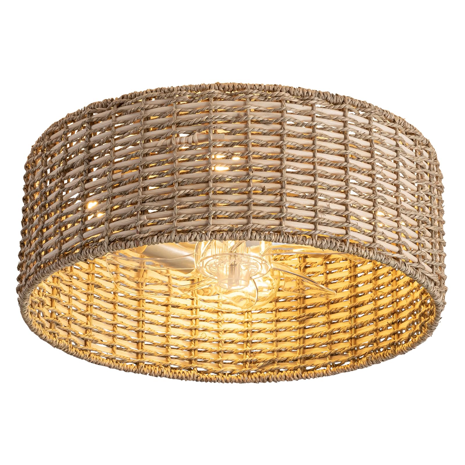 DARYEWO Handwoven Boho Rattan Ceiling Fan with Light,Flush Mount Caged Ceiling Fans with Lights and Remote Control,Low Profile E
