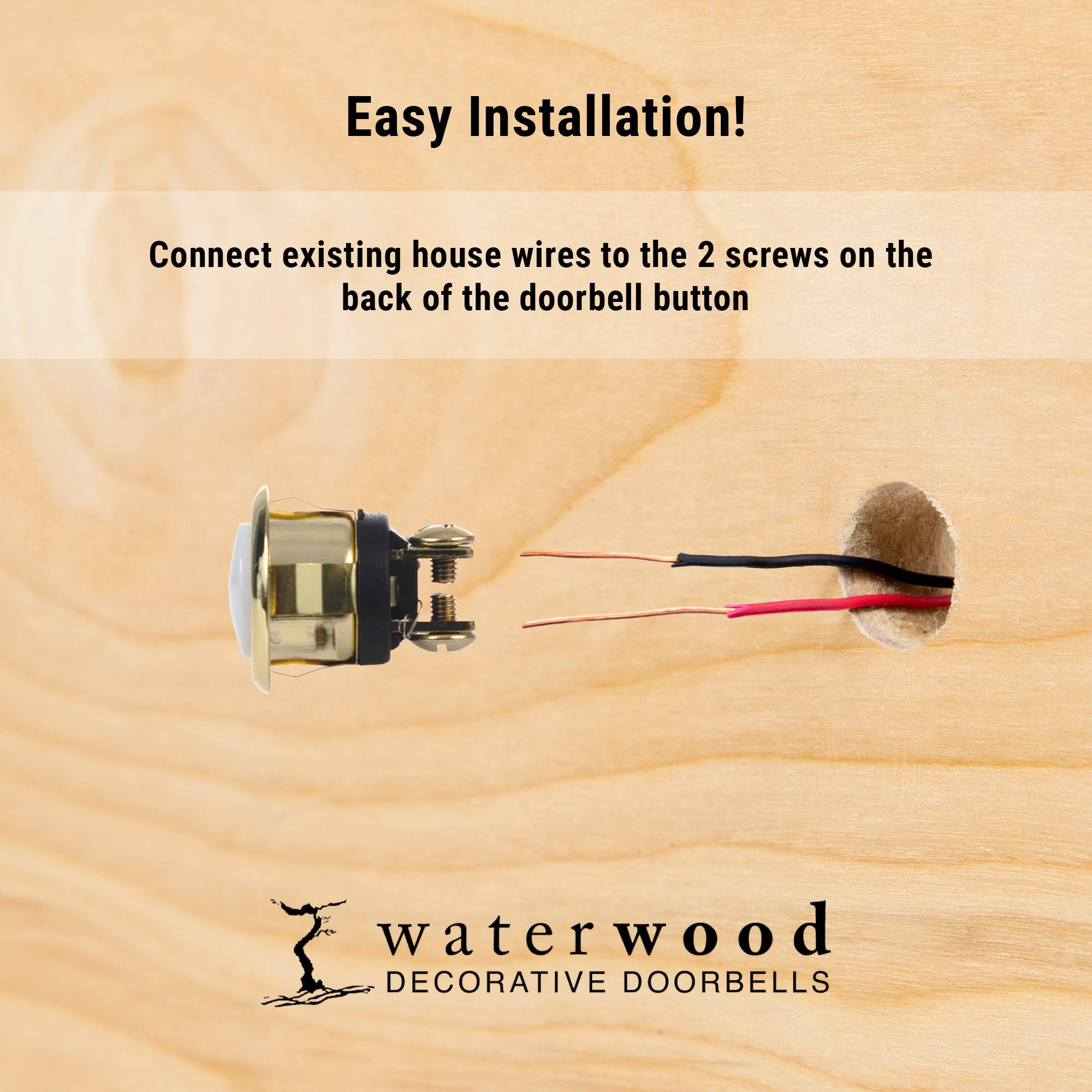 Waterwood Hand Painted Brown Begging Dachshund Doorbell   Wired & Illuminated Push Button Cast In Durable Polyresin