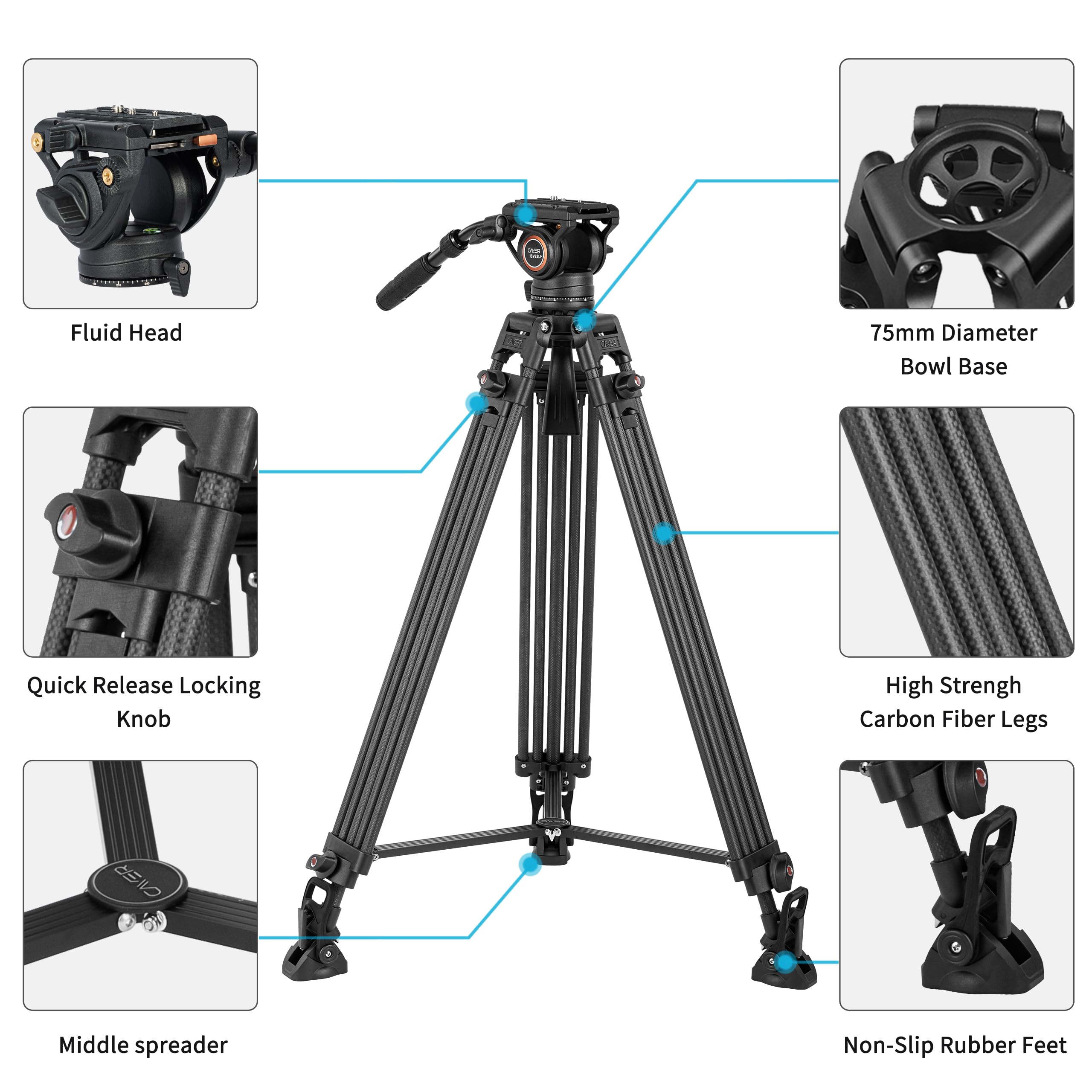 Cayer BV25LH Carbon Fiber Video Tripod System, 74" Heavy Duty Kit with Fluid Head, Twin Tube Legs, Max Load 17.6LB