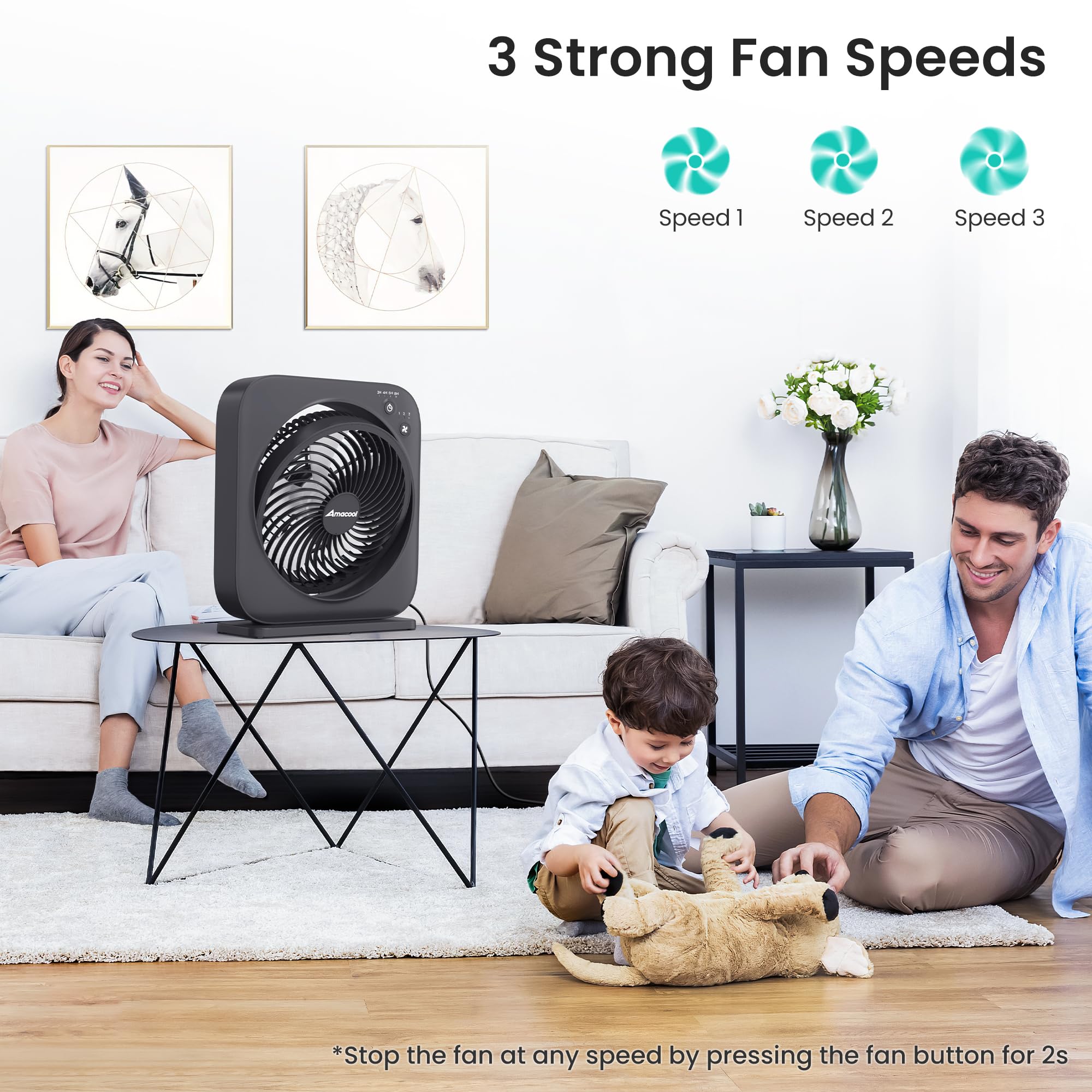 Amacool Table Fan, 12 Inch Box Fan With 3 Adjustable Speeds & 8Hrs Timer, 60 Pivoting Quiet Air Circulator, Desktop Fan For Bedr