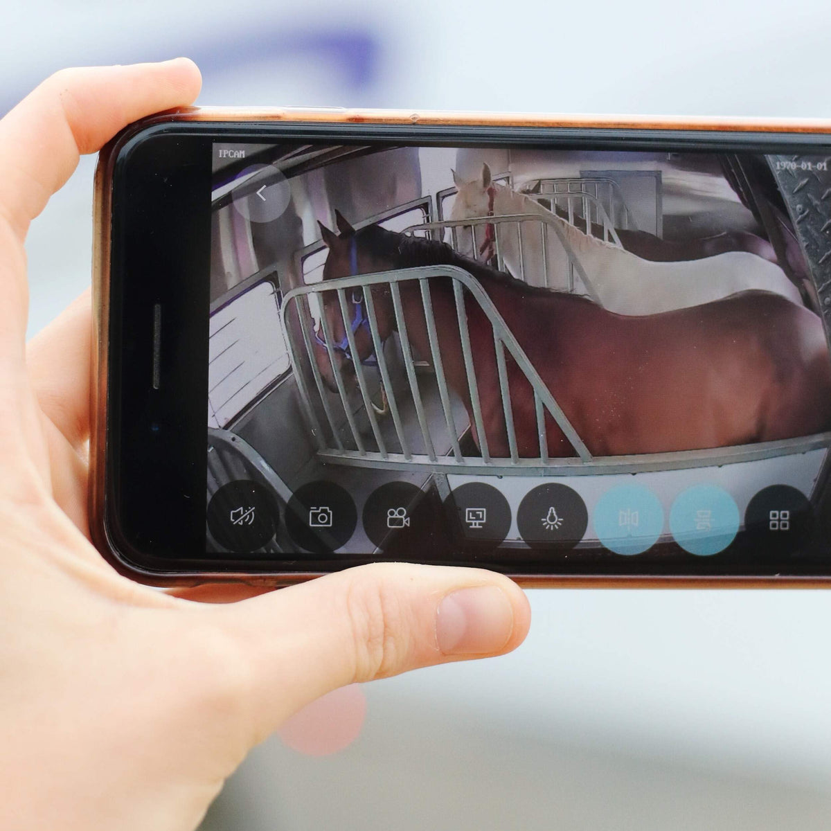 Equine Eye Voyager - Wireless Horse Trailer Camera - Live Video To Your Mobile With Night Vision, Audio - 8 Hours Battery Life -