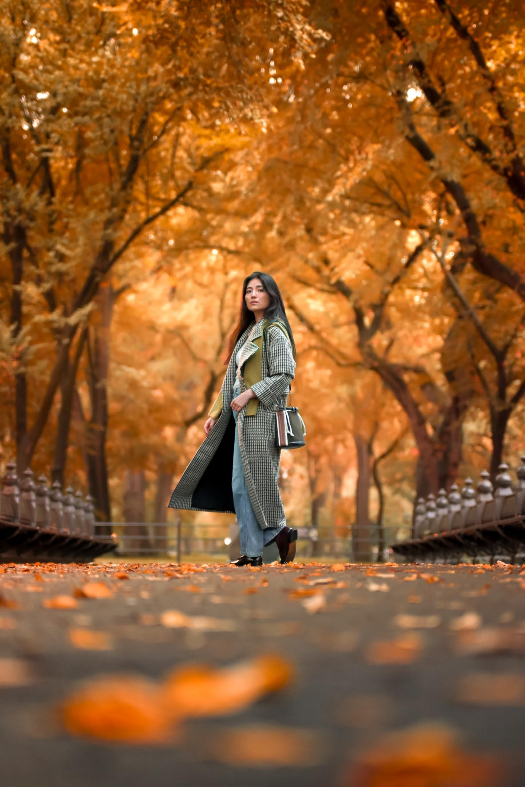 Nikon Z50 Ii | Compact Mirrorless Stills/Video Camera With Easy Color Presets And Wireless Photo Sharing | Nikon Usa Model