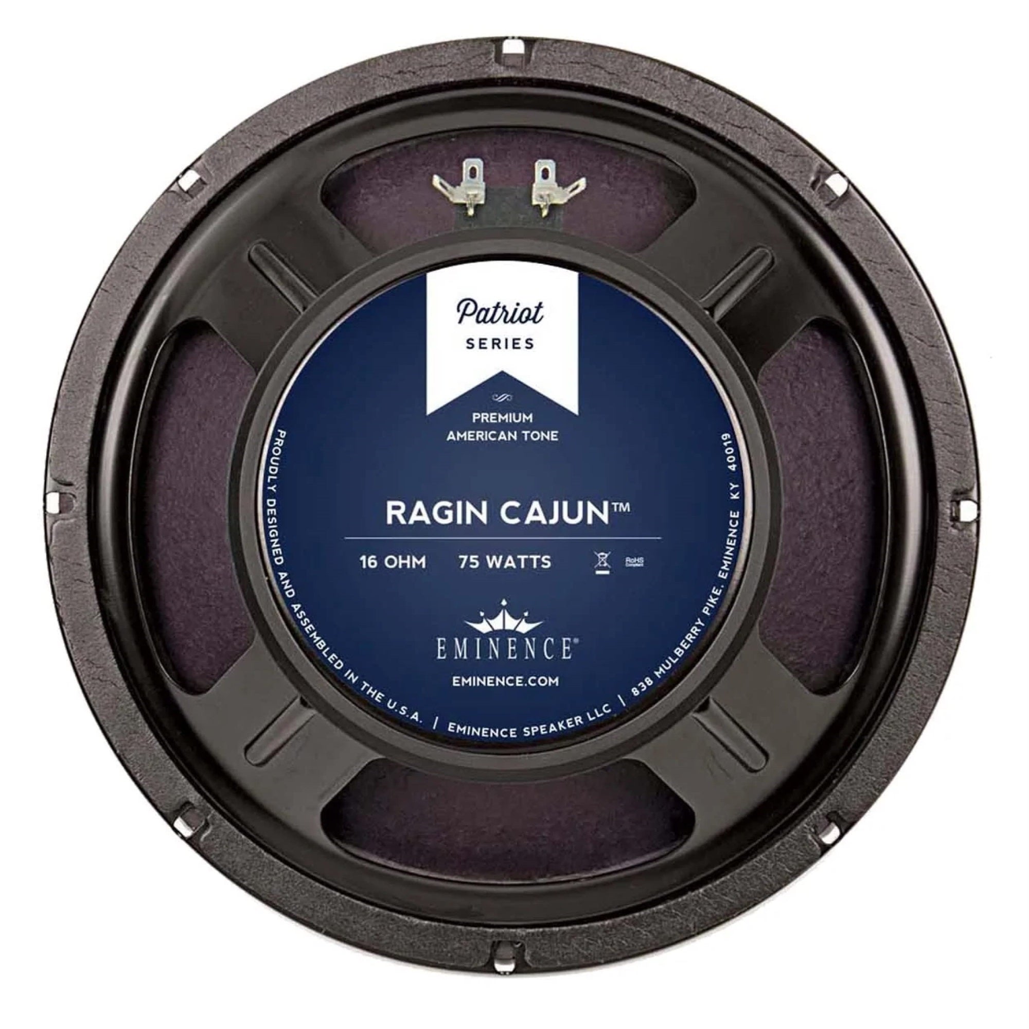 EMINENCE 10 16 OHM GUITAR SPEAKER