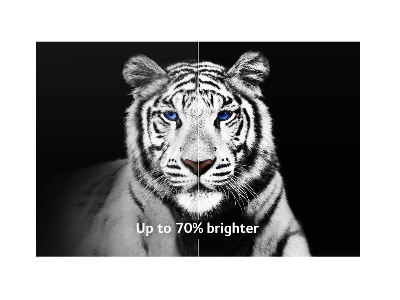 Led T Lgoled83G3Pua R