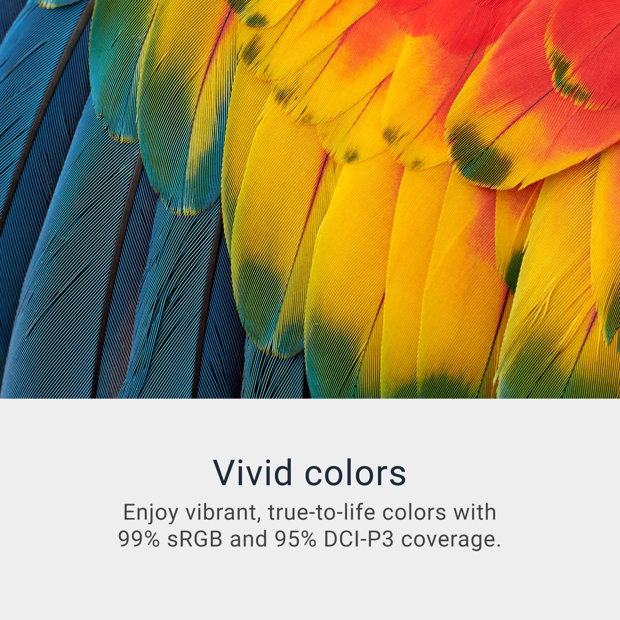 Dell 34 Plus Usb-C Curved Monitor - S3425Dw - 34-Inch (3440 X 1440) Up To 120 Hz 21:9 Display, Va Panel, Amd Freesync Premium, 9