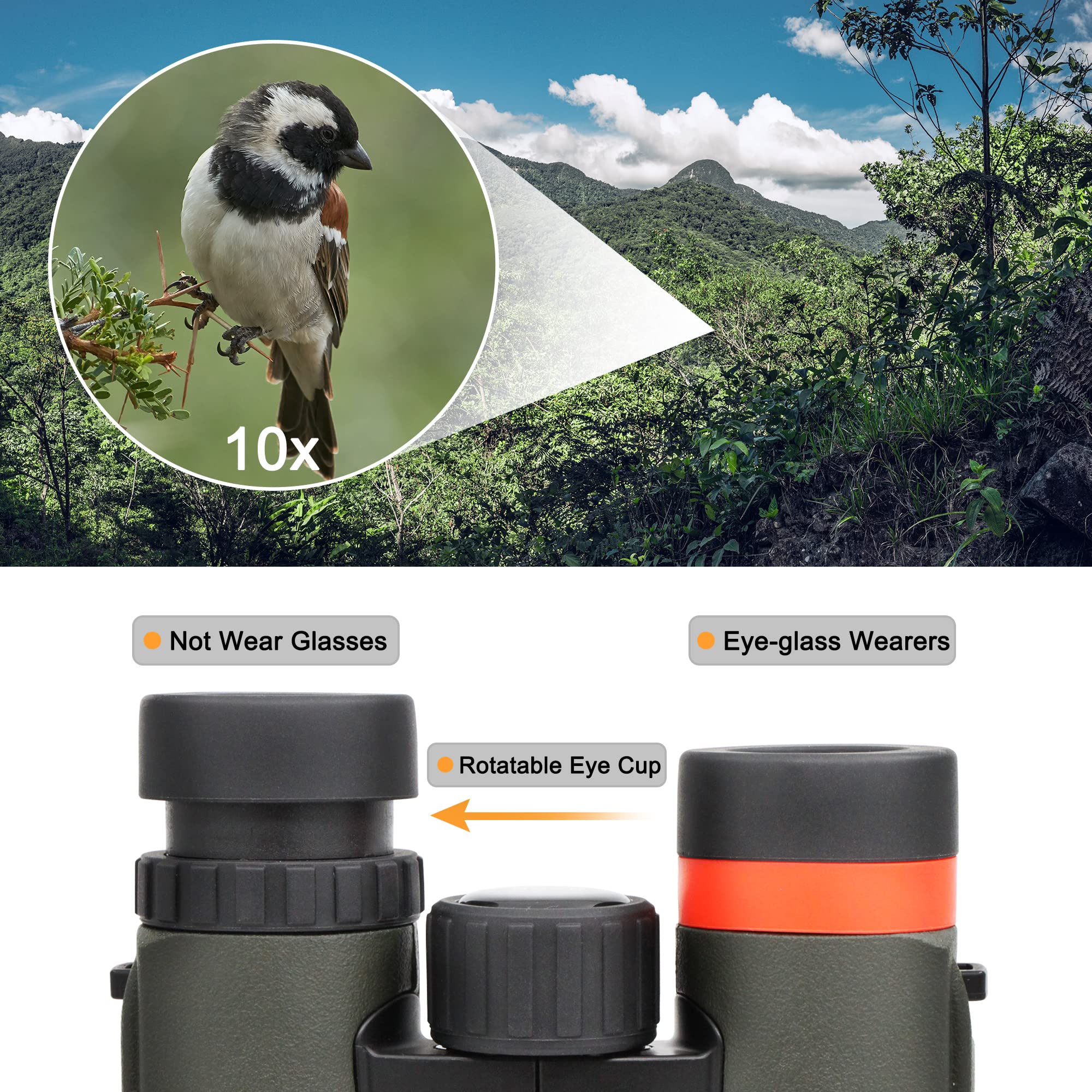 Astromania 10X26 Waterproof Compact Binoculars For Traveling, Wildlife, Camping And Sport Games, Theater And Concerts, Bird Watc