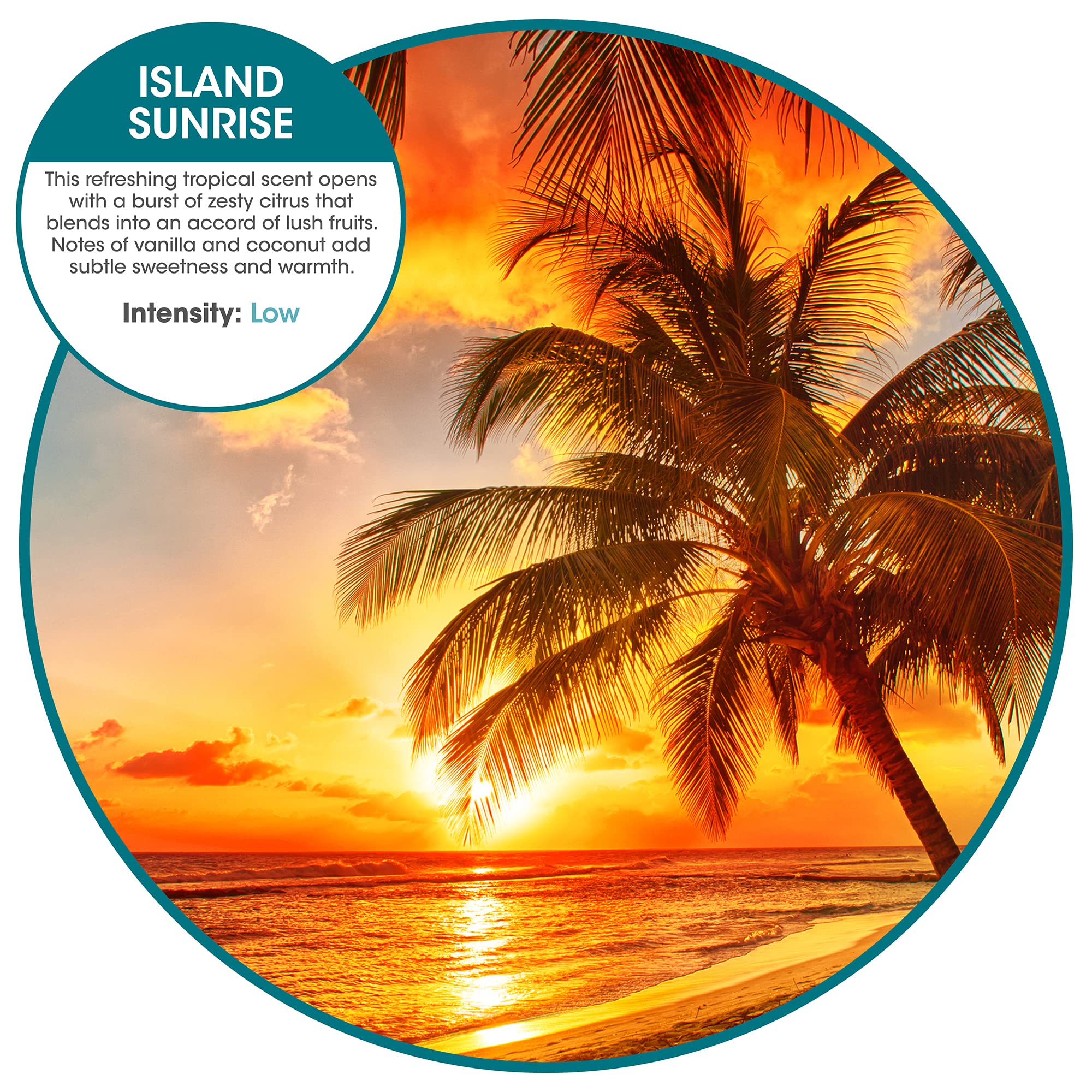 Fresh Products Ourfresh 2 Air Freshener Replace Metered Aerosol With Dry Fragrance 30 Day Use Medium Sized Spaces Light Activate