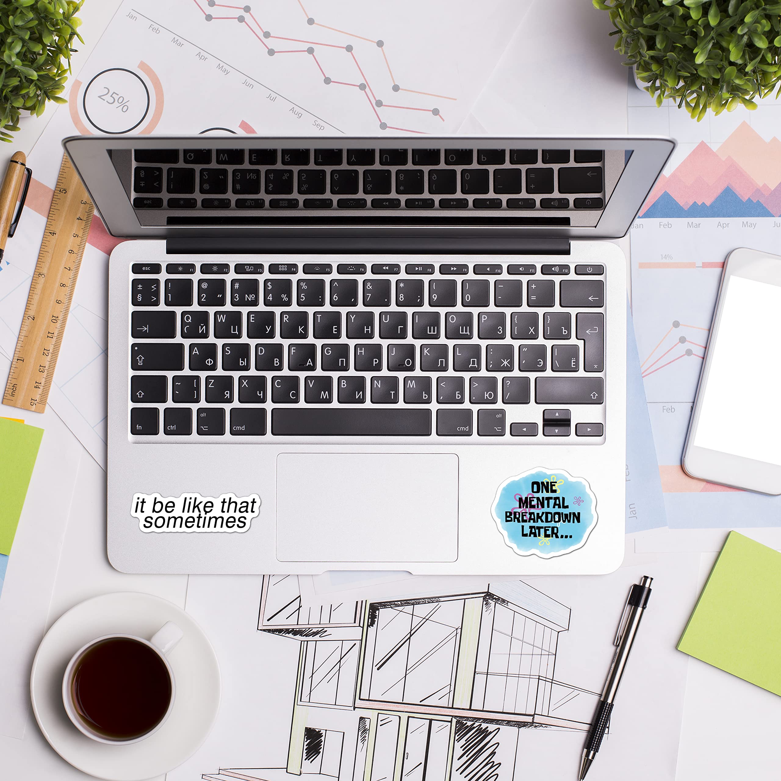 306Pcs Funny Meme Vinyl Stickers Pack, Large Bulk Sticker For Laptop, Phone, Water Bottles, Computer... Vine Sticker Decal Diy D