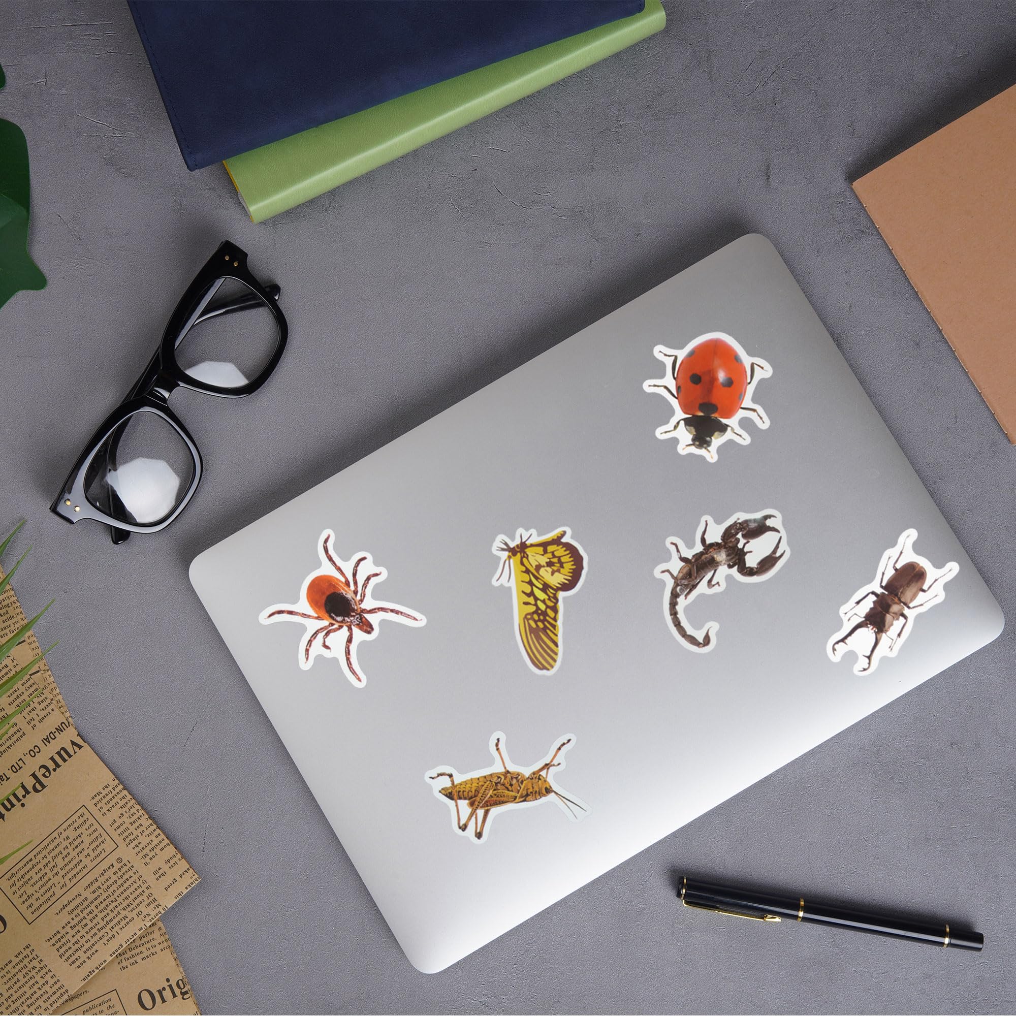 100 Pcs Insect Stickers Cartoon Bug Stickers For Laptop Water Bottle Computer Refrigerator Luggage Phone Case Bicycle Teens (Ins