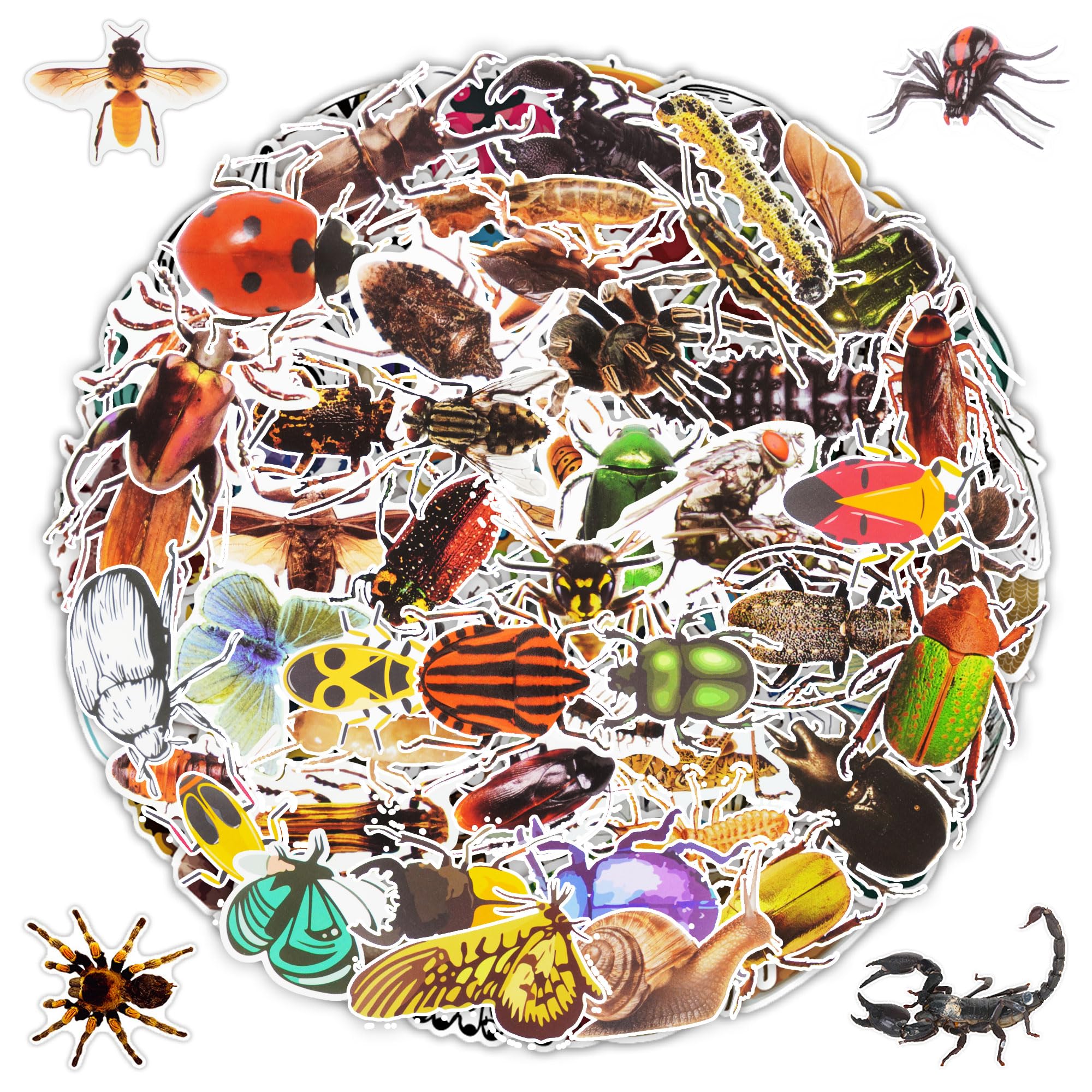 100 Pcs Insect Stickers Cartoon Bug Stickers For Laptop Water Bottle Computer Refrigerator Luggage Phone Case Bicycle Teens (Ins