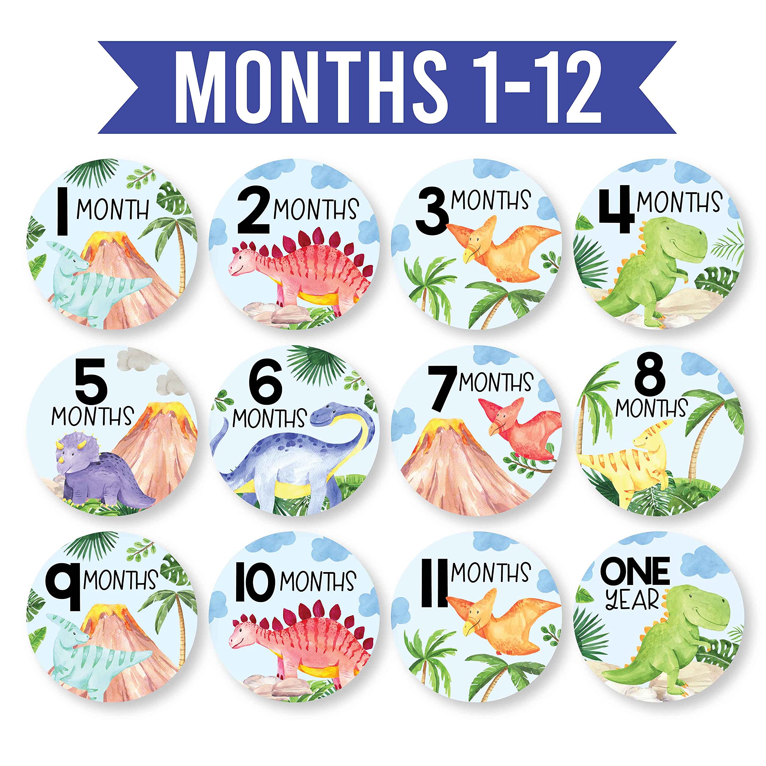 20 Monthly Baby Milestone Stickers Boy   Dinosaur Baby Monthly Milestone Stickers For Baby Boy, Milestone Baby Monthly Stickers,