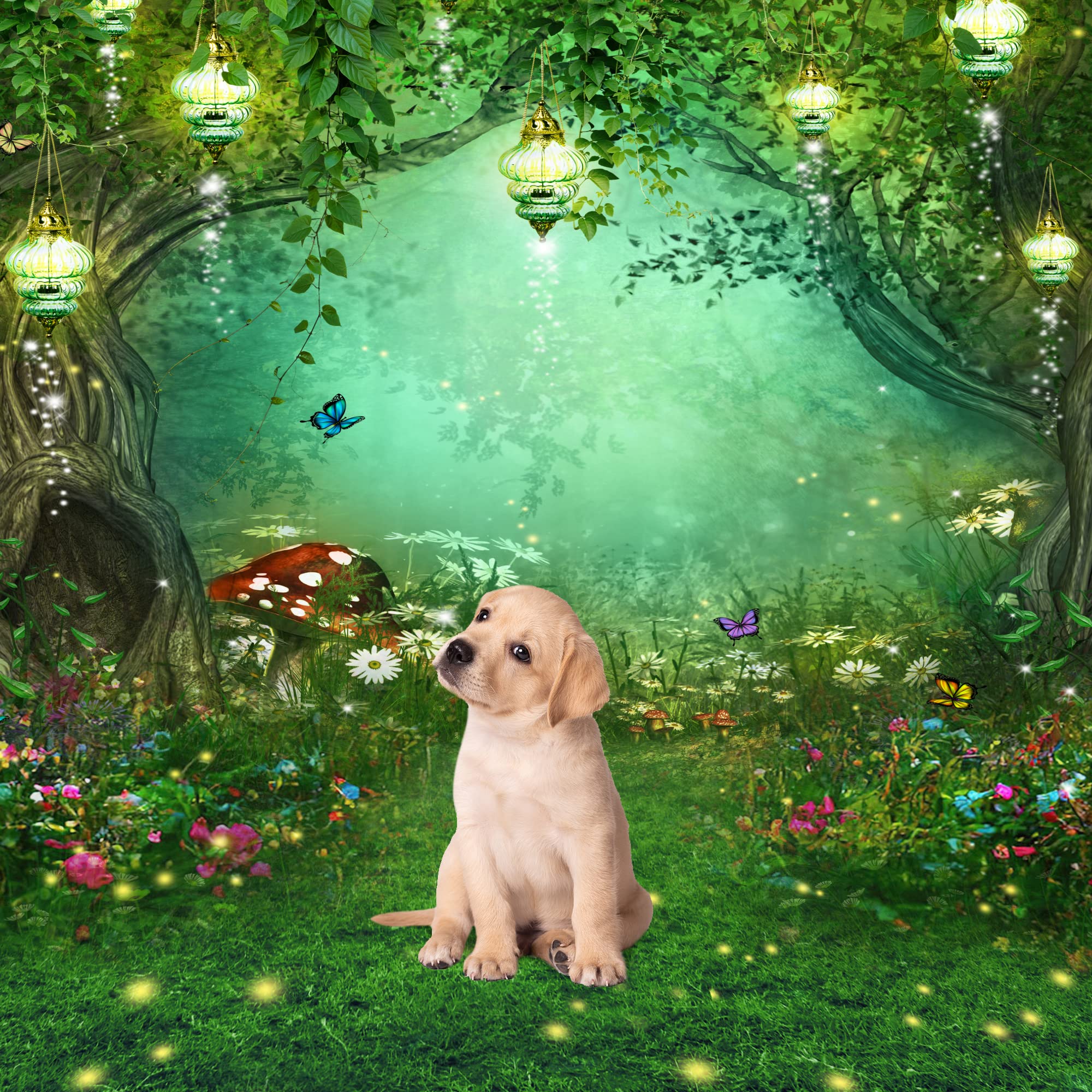 Riyidecor Enchanted Backdrop Polyester Fabric Wonderland Green Fairy Tale Butterfly Woodland Spring 6Wx8H Feet Dream Mushroom Ph
