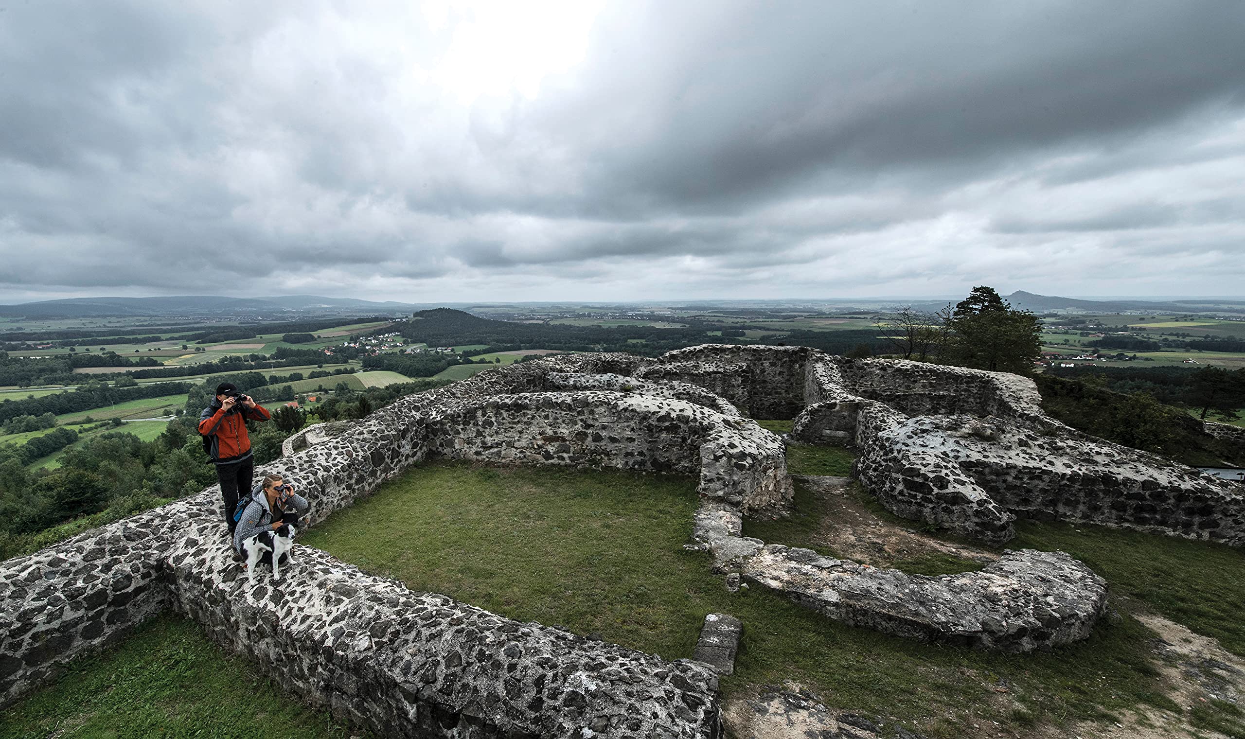 Steiner Safari Ultrasharp Binoculars Compact Lightweight Performance Outdoor Optics, 10X42
