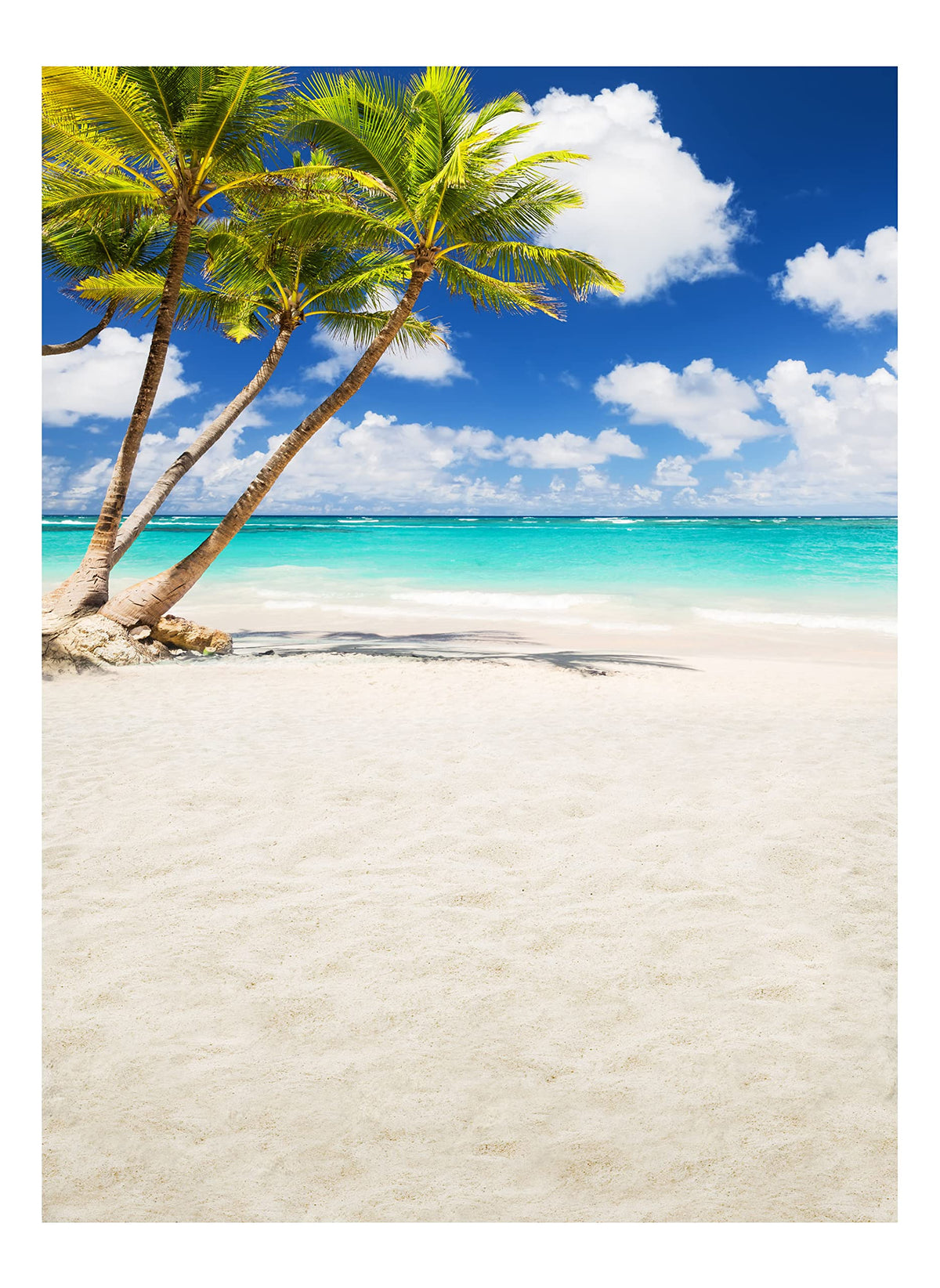 Allenjoy Tropical Seaside Beach Backdrop Summer Hawaii Island Palm Trees Photography Background For Boys Girls Portrait Holiday