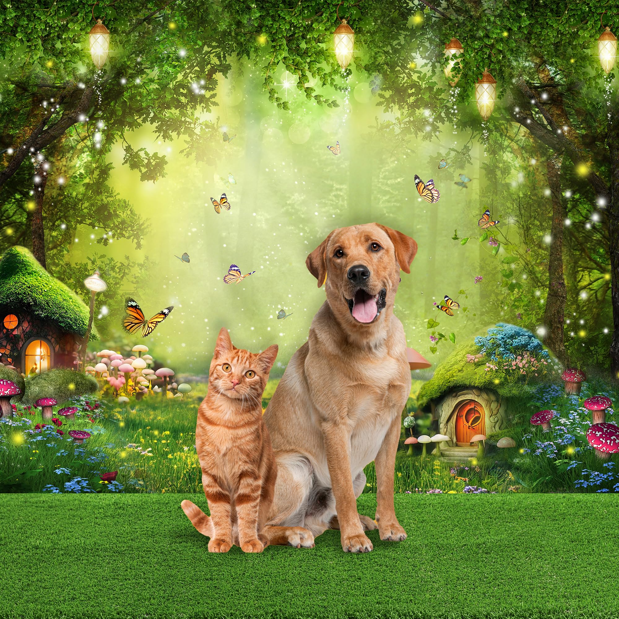 Imirell Enchanted Backdrop 7Wx5H Feet Fairy Tale Wonderland Mushroom Greenery Woodland Butterfly Flower Polyester Fabric Spring