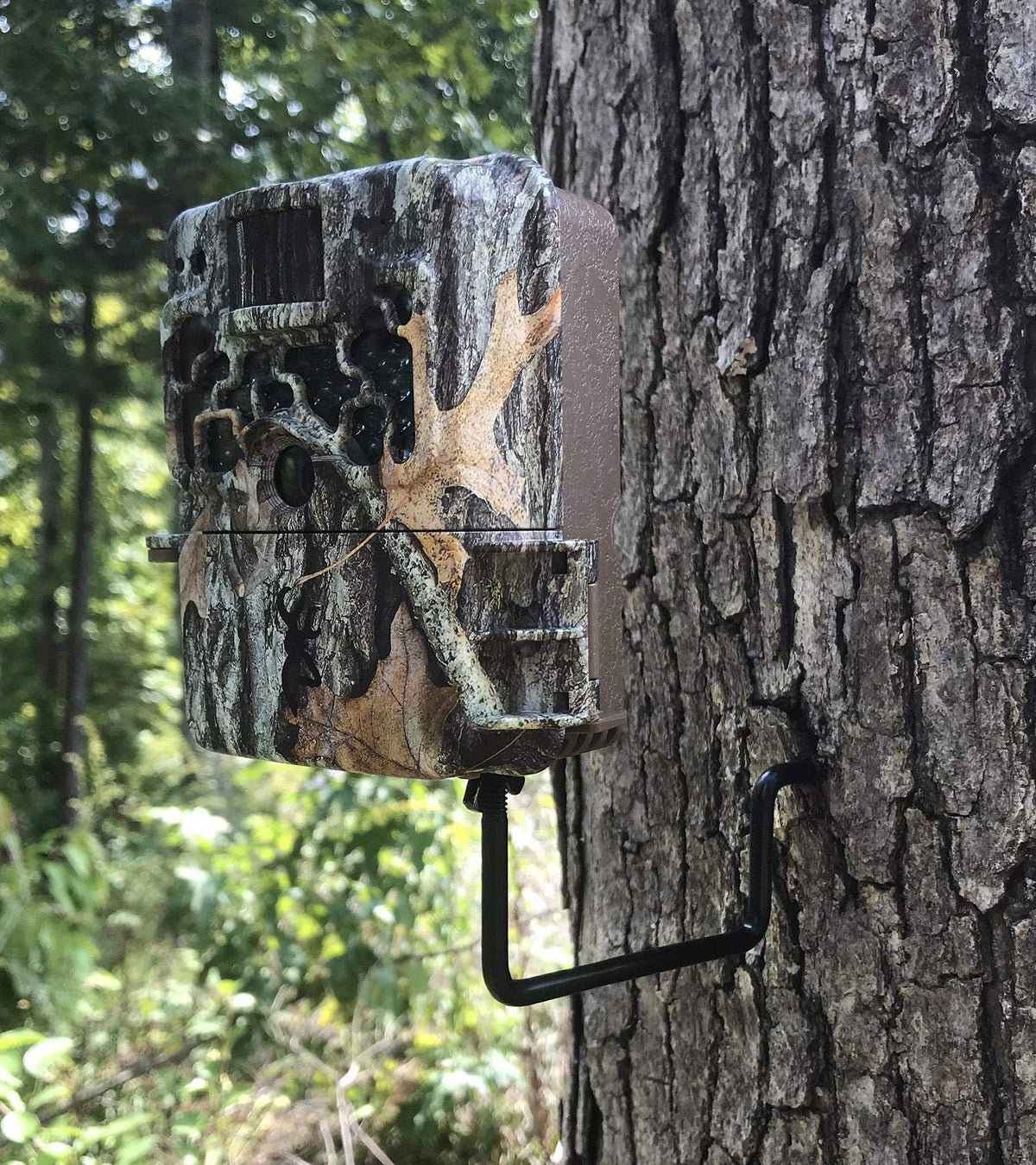 Trail Camera Economy Mount