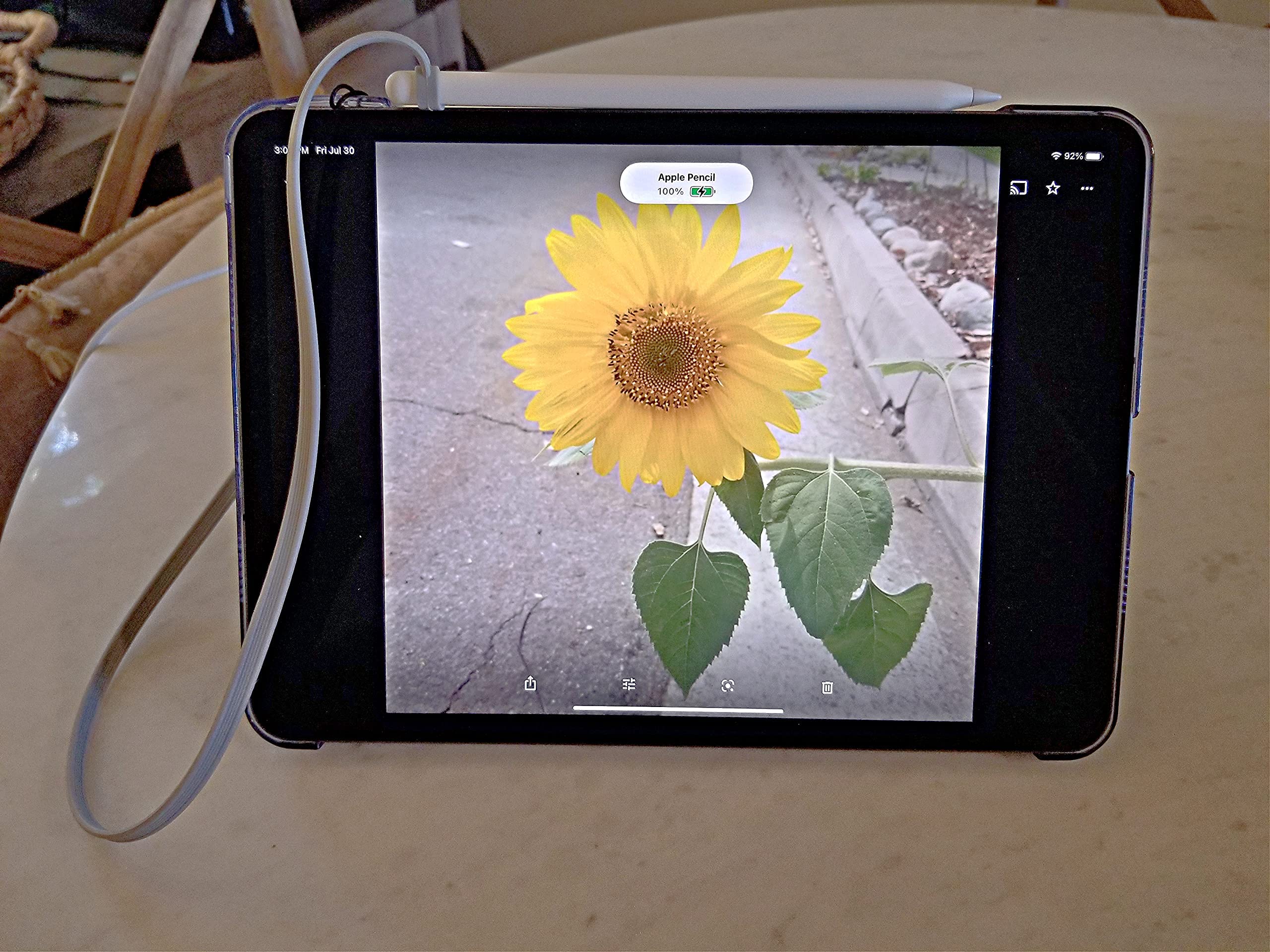 Zooploop Grey Silicone Scratchproof 20.75In Tether For Digital Electronic Styluses (Diameter Range: 0.27 0.37In)   Secure Stylus