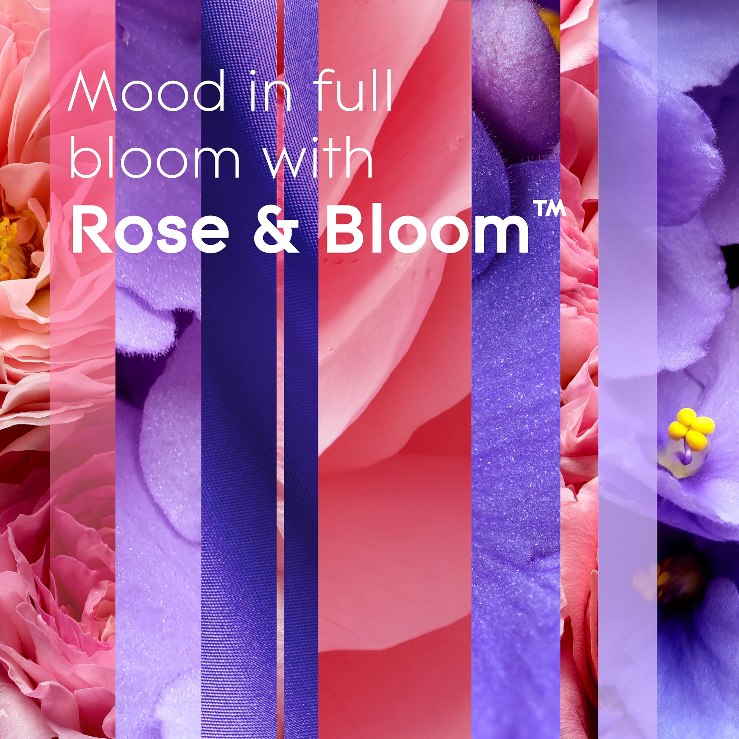 Glade Plugins Refills Air Freshener, Scented And Essential Oils For Home And Bathroom, Rose & Bloom, 1.34 Fl Oz, 2 Count