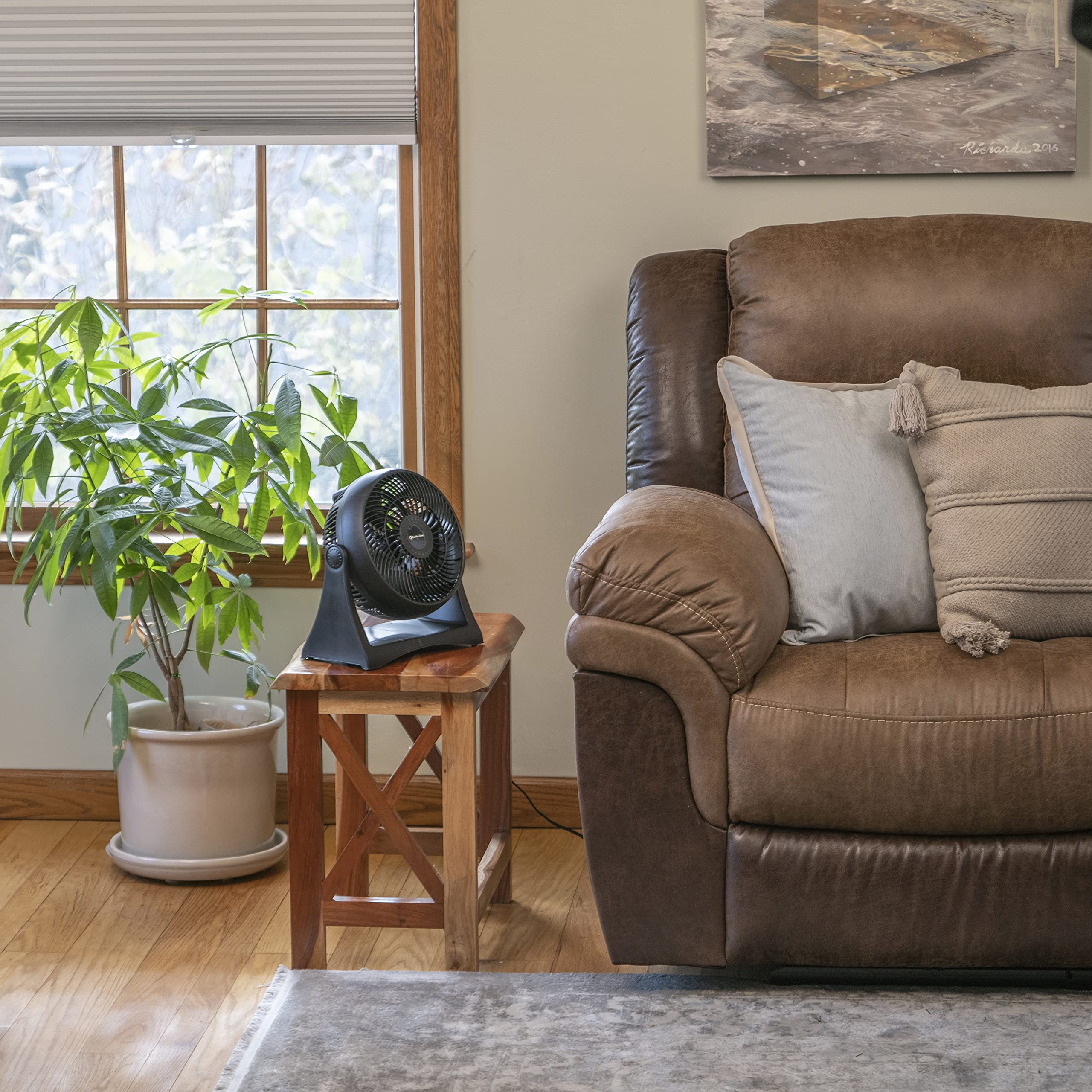 Comfort Zone Table Fan, 8 Inch, 3 Speed, Personal Fan, Electric, Wall Mountable, 180 Degree Adjustable Tilt, Tabletop Fan, Desk