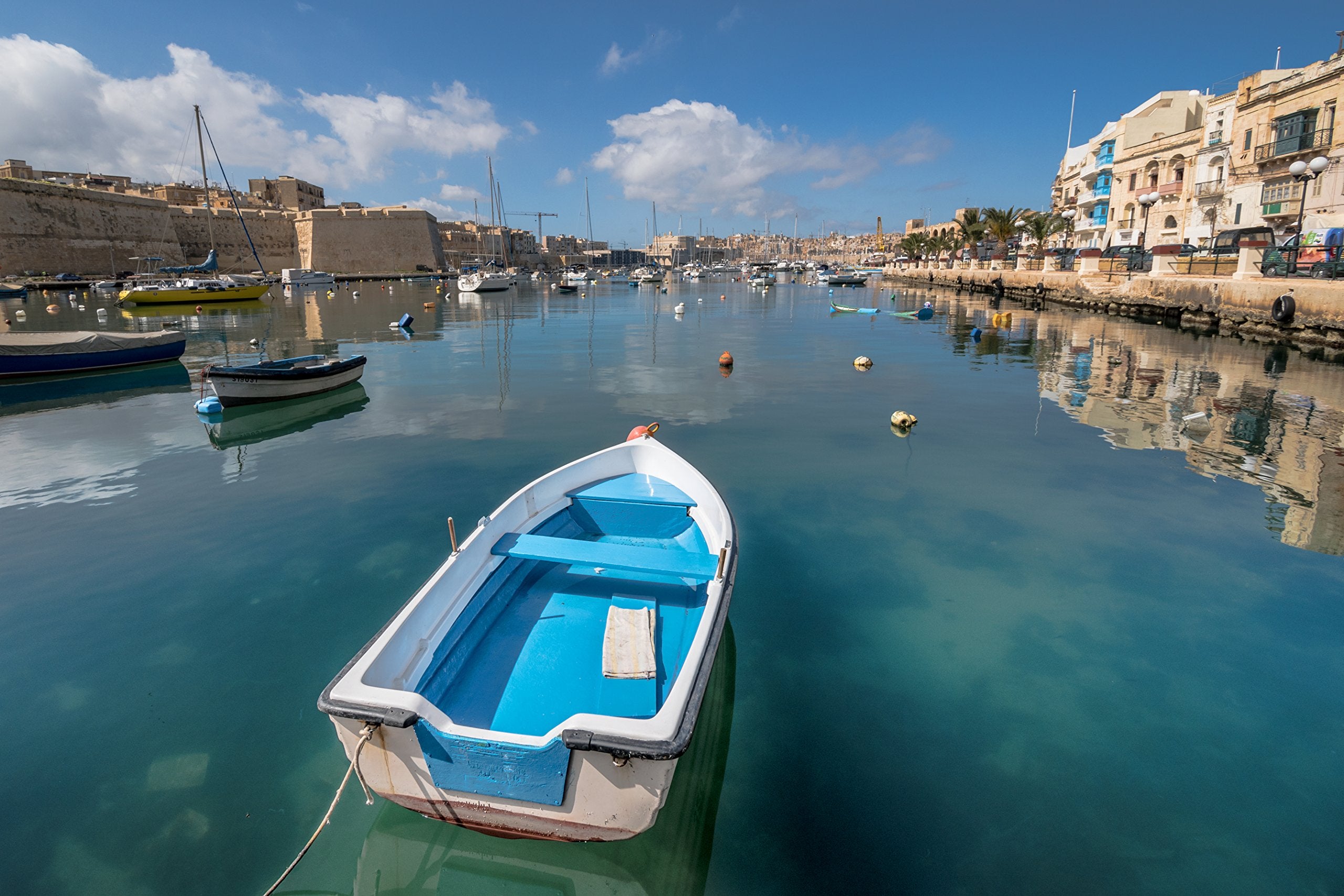 Nikon Af P Dx Nikkor 10 20Mm F/4.5 5.6G Vr Lens Black