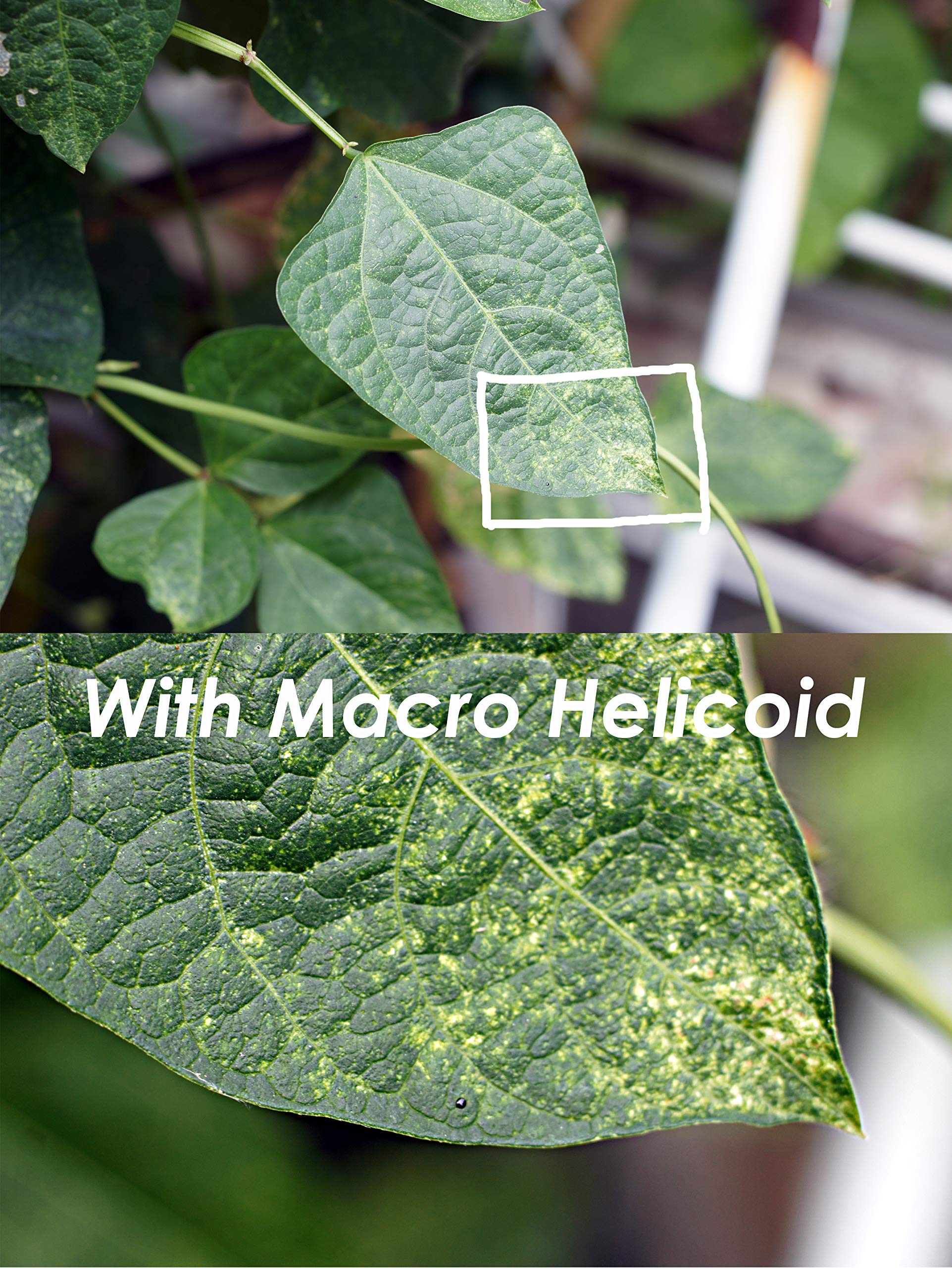 Fotasy M42 Lens To M4/3 Focusing Helicoid Adapter, Mft Mount Macro Helicoid Tube, Compatible With Panasonic G9 Gh5 Ii Gx8 Gx9 Gx