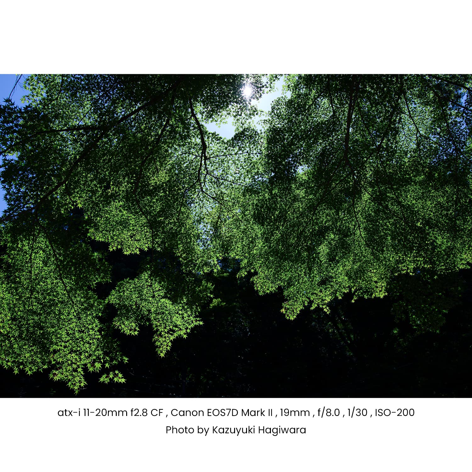 Tokina Atx I 11 20Mm F2.8 Canon Ef S Mount
