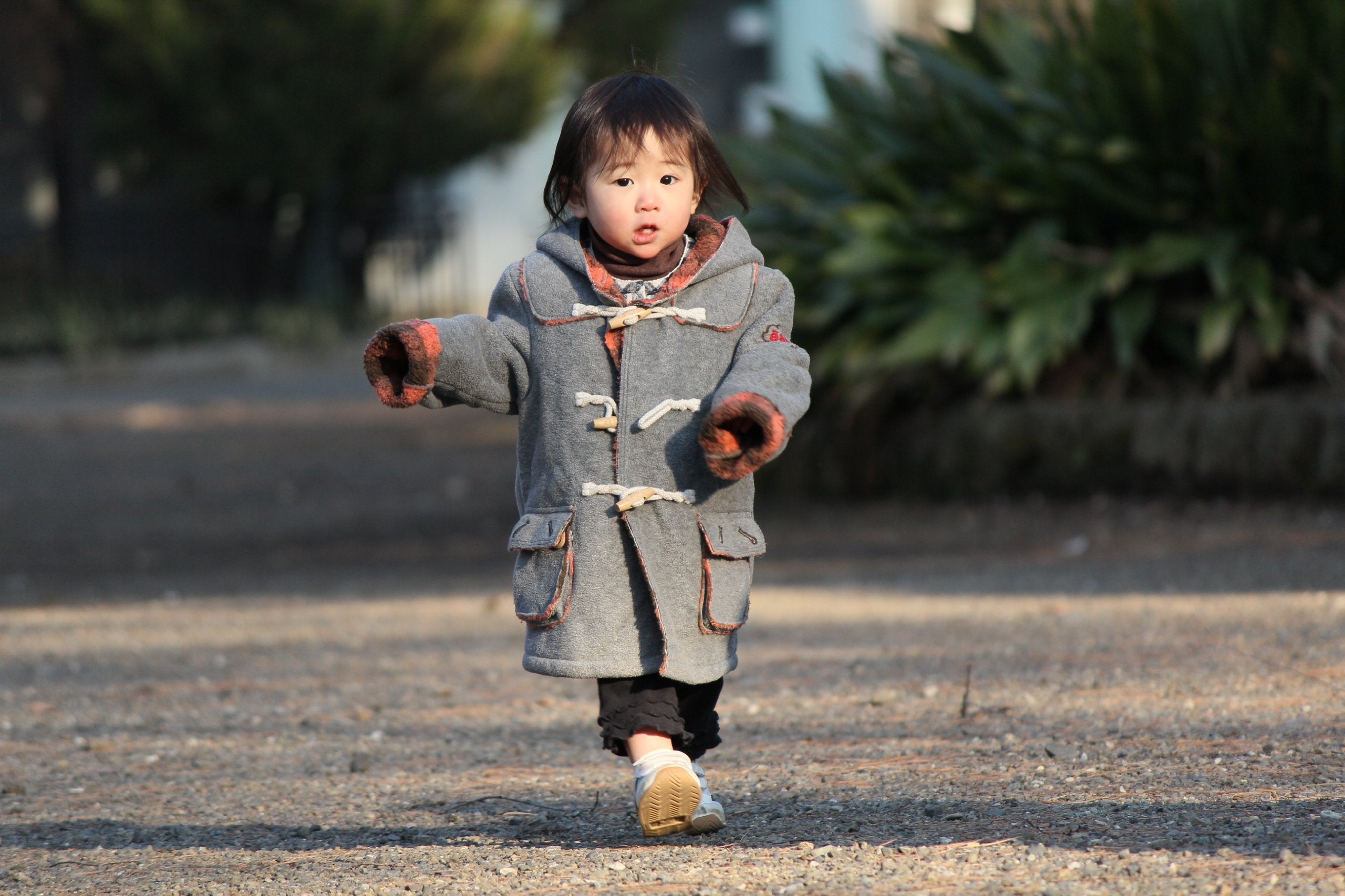 Canon Ef-S 55-250Mm F/4-5.6 Is Image Stabilizer Telephoto Zoom Lens - International Version (No Warranty)