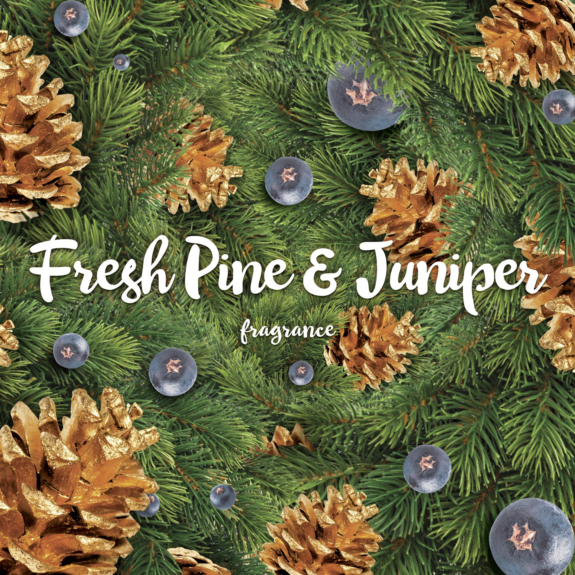 Air Wick Plug In Scented Oil 2 Refills, Fresh Pine And Juniper, Fall Scent, Fall Spray, (2X0.67Oz), Essential Oils, Air Freshene