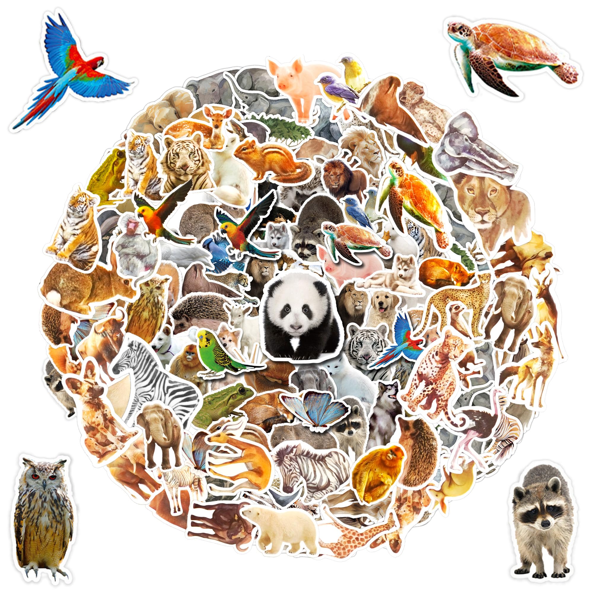 100 Pcs Jungle Animal Stickers Safari Zoo Animal Wild One Stickers For Laptop Water Bottle Computer Refrigerator Luggage Phone C