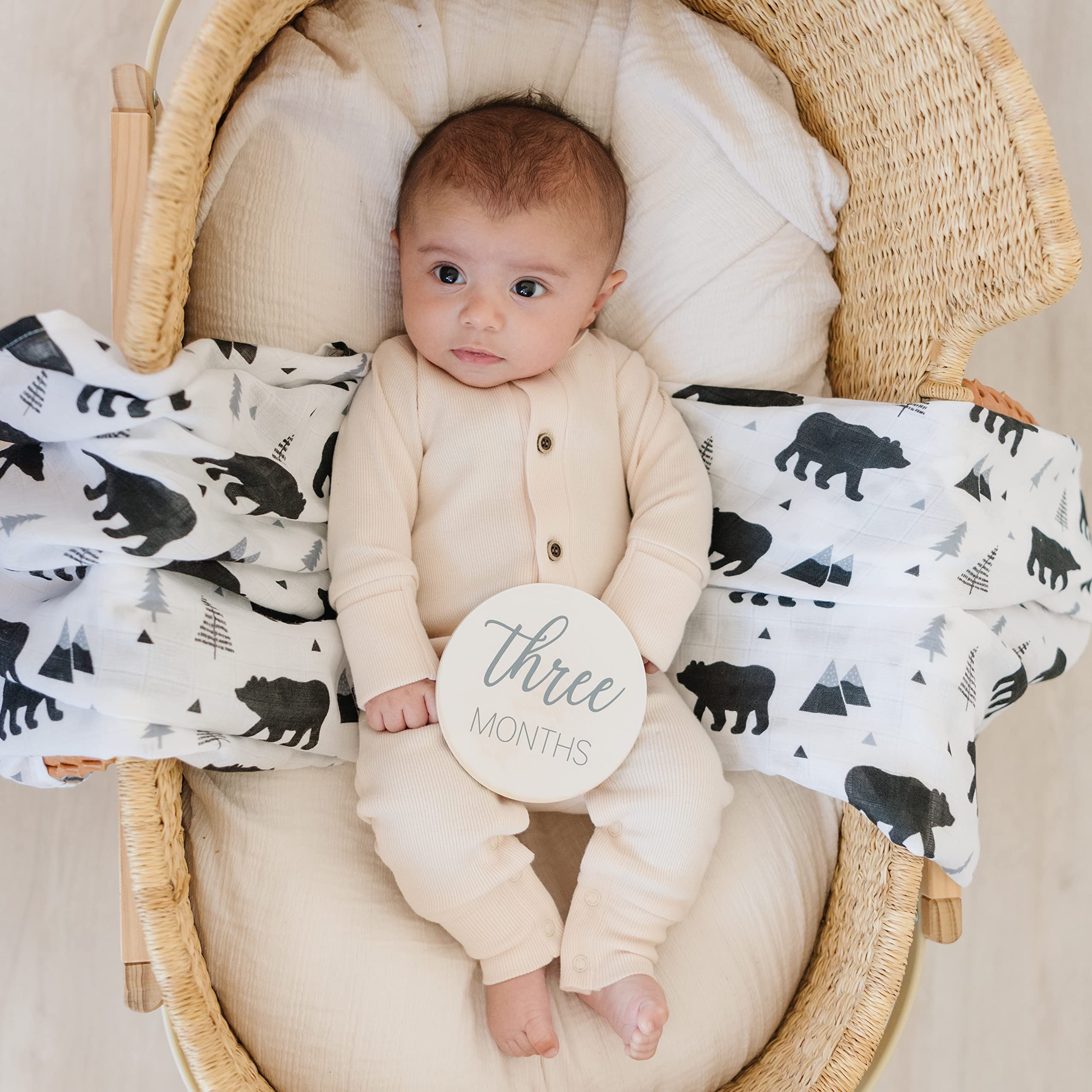 Natural Baby Milestone Discs   White Stain Wood Milestone Disc Set With Bag And Hello World Announcement Card   13 Wooden Milest