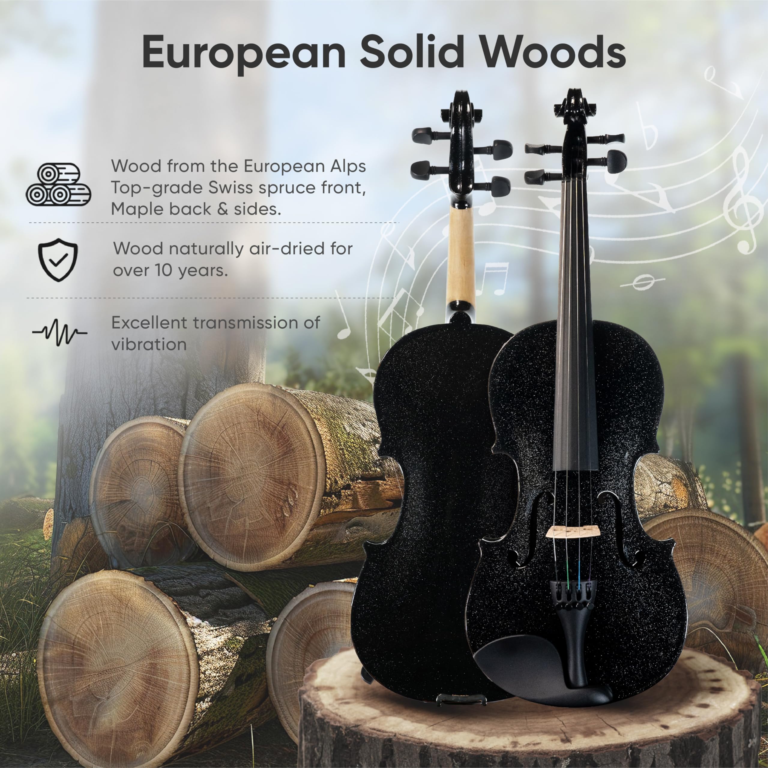 Phoenix Violin 4/4 Full Size Set, Fiddle Solid Wood For Professional Beginners Adults With Rosewood Bow Extra Strings & Bridge,R